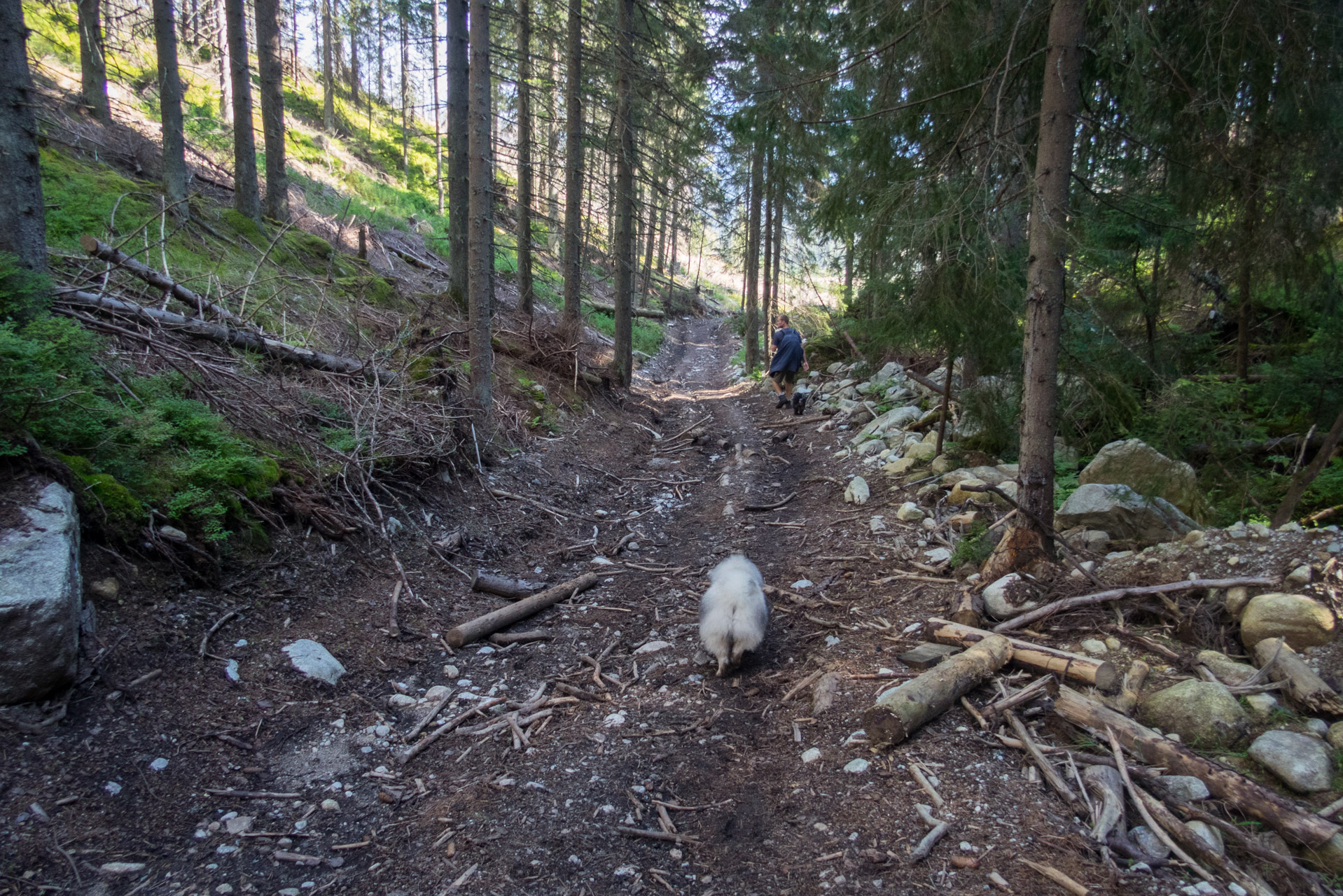 Bystrá z Hrdova (Západné Tatry)