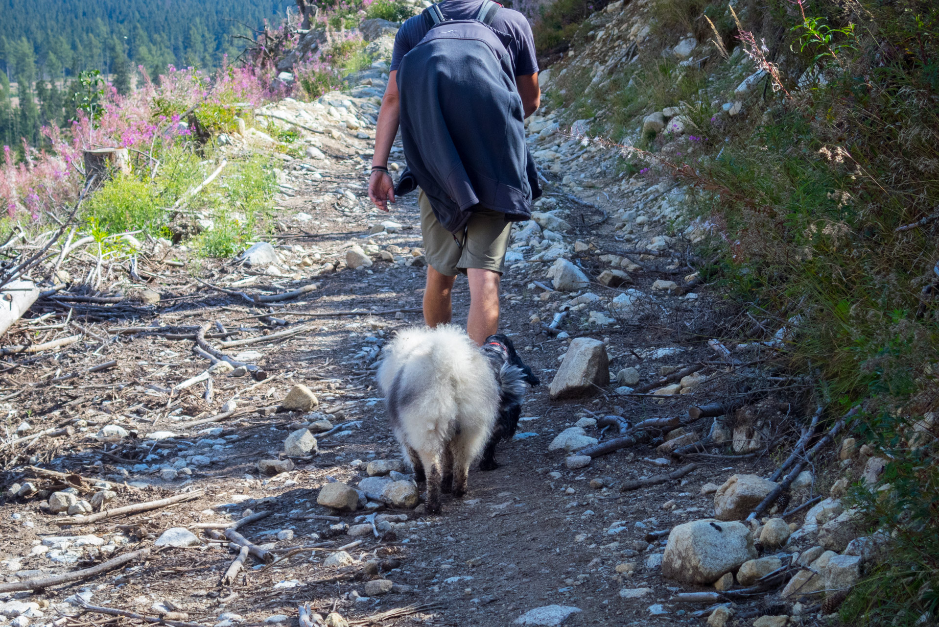 Bystrá z Hrdova (Západné Tatry)