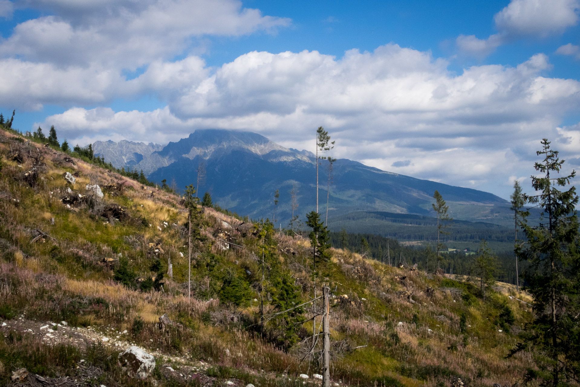 Bystrá z Hrdova (Západné Tatry)