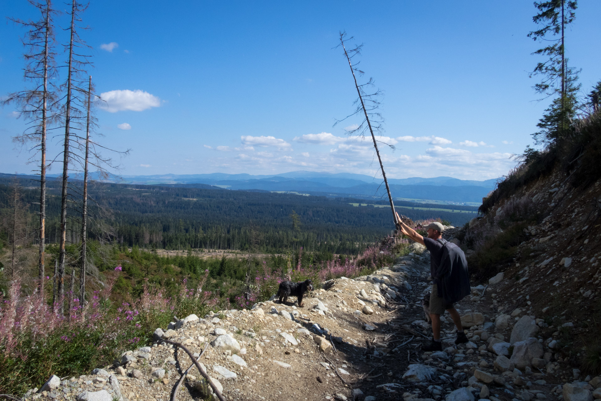 Bystrá z Hrdova (Západné Tatry)