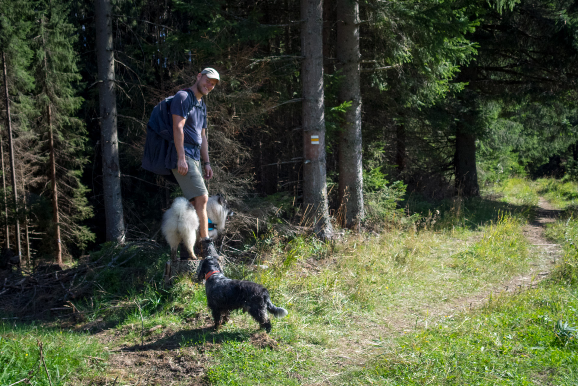 Bystrá z Hrdova (Západné Tatry)