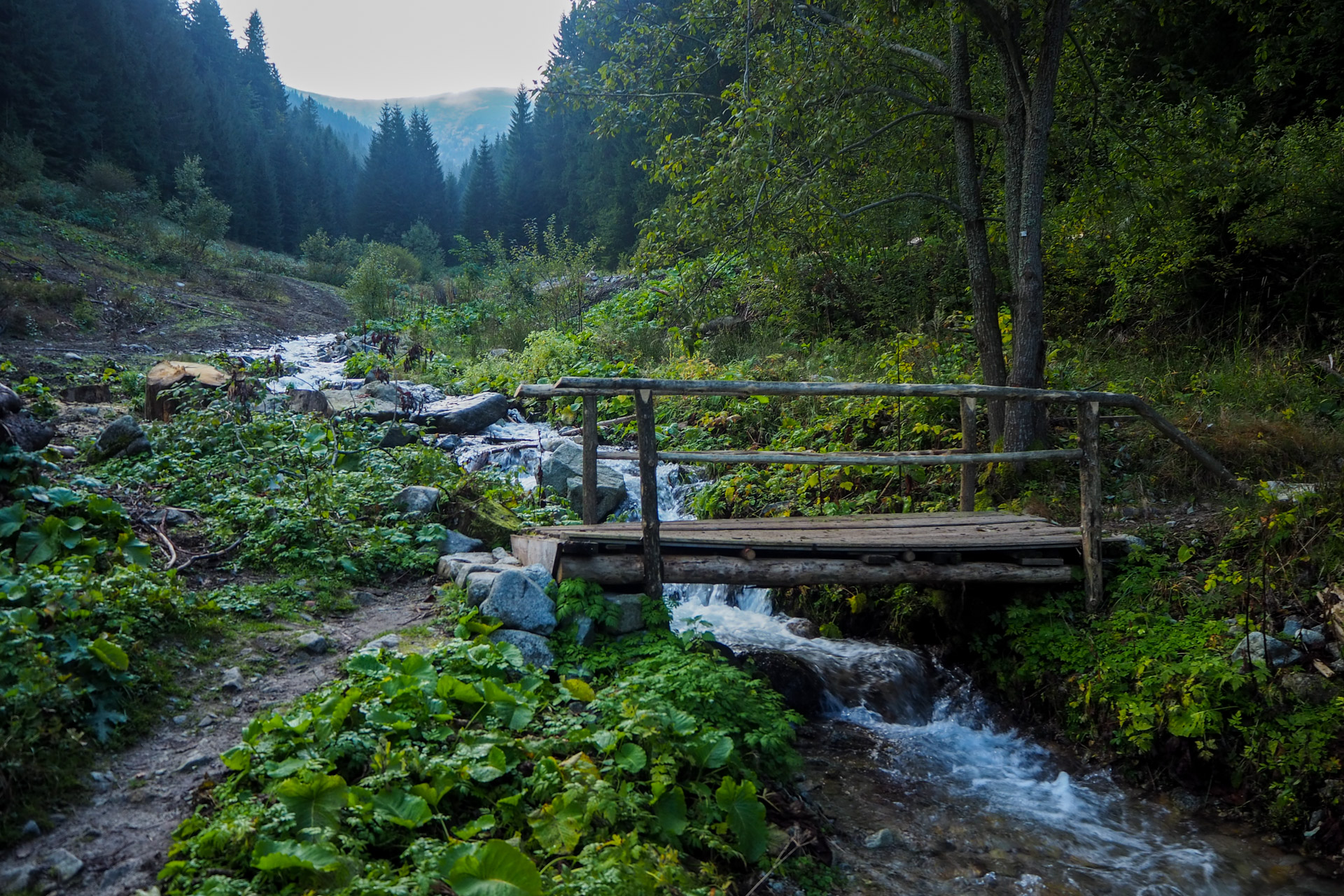 Chabenec z Magurky (Nízke Tatry)