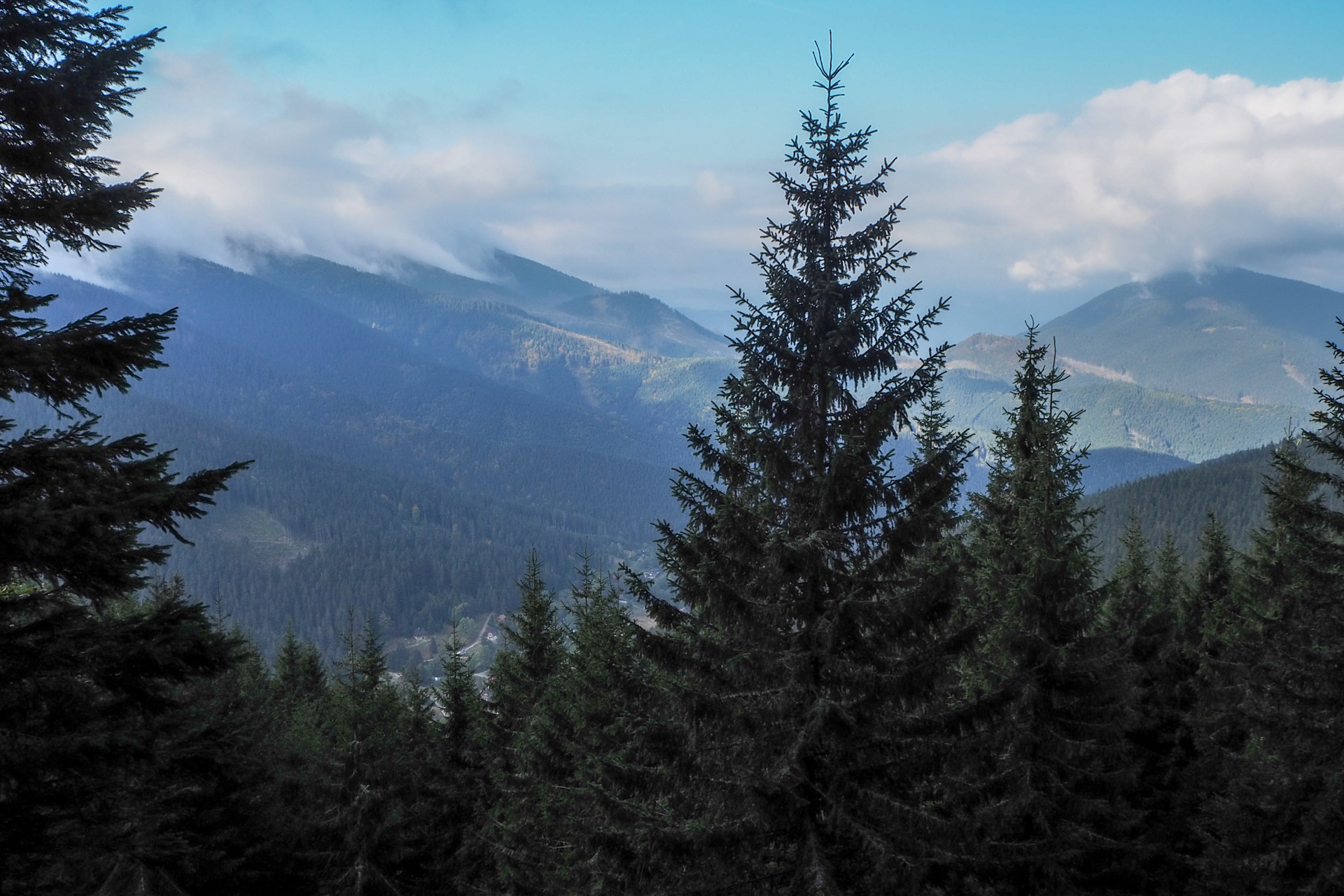 Chabenec z Magurky (Nízke Tatry)