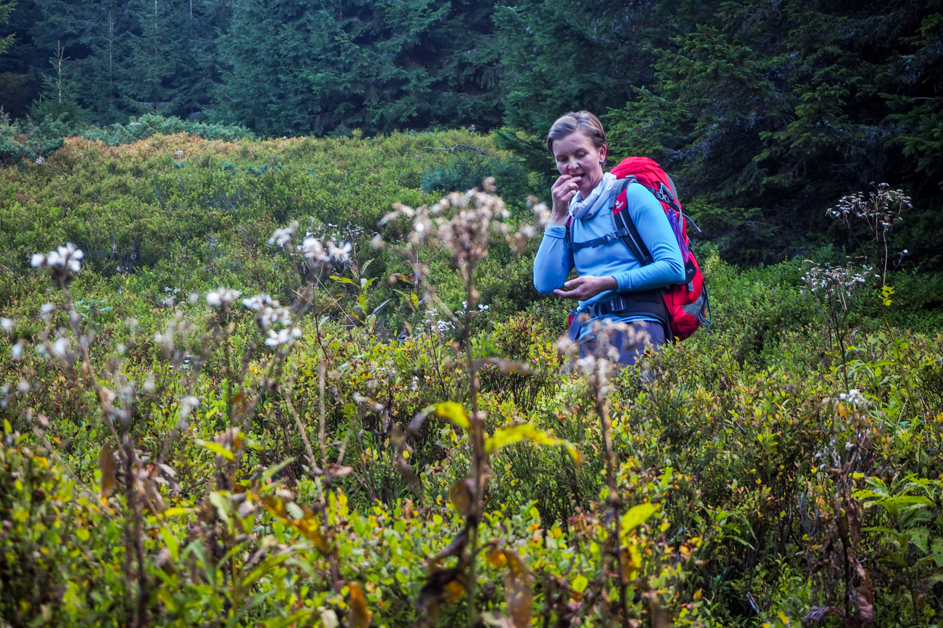 Chabenec z Magurky (Nízke Tatry)