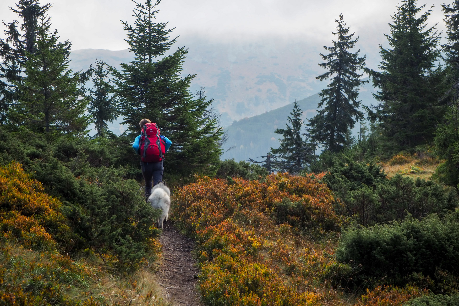 Chabenec z Magurky (Nízke Tatry)