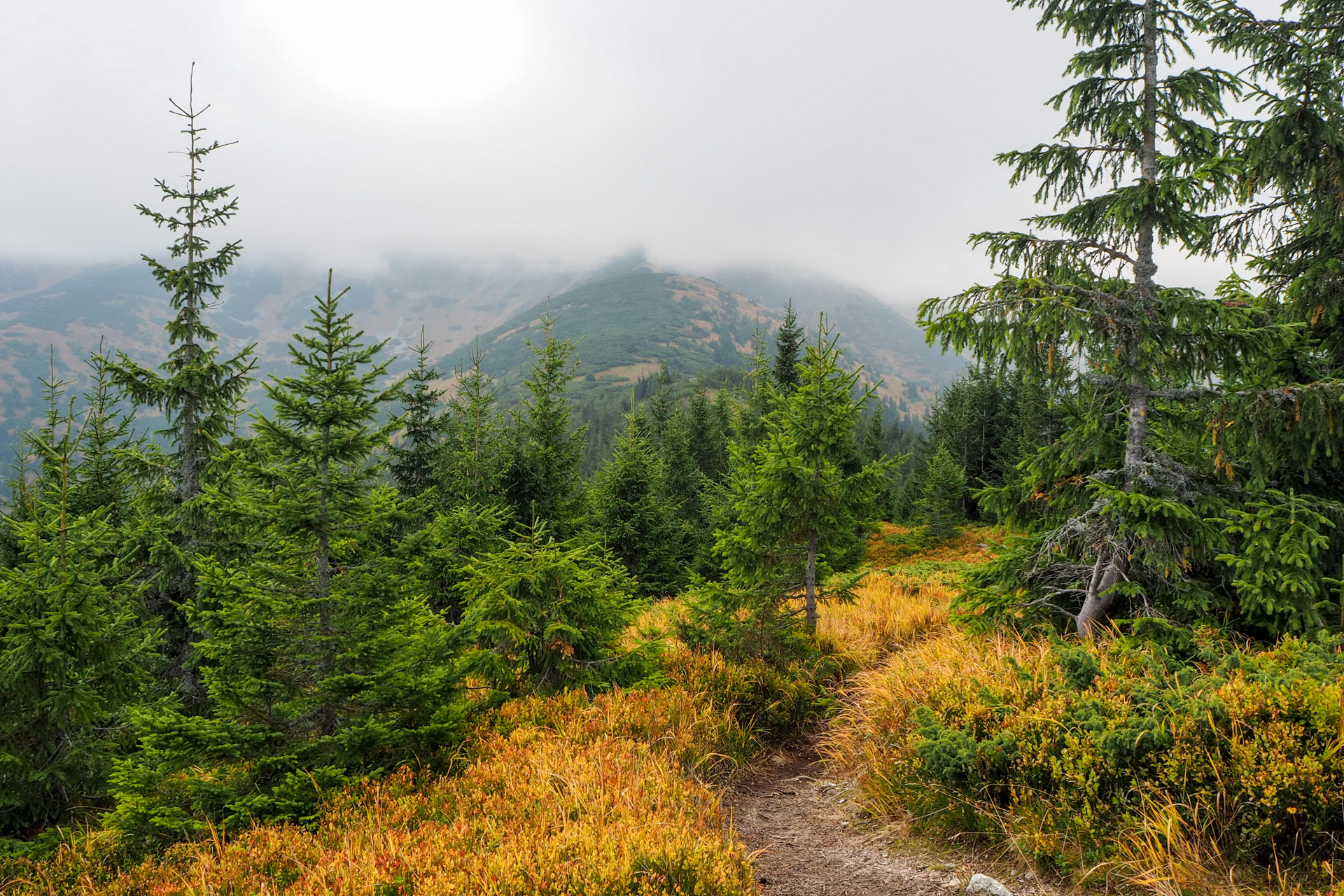 Chabenec z Magurky (Nízke Tatry)