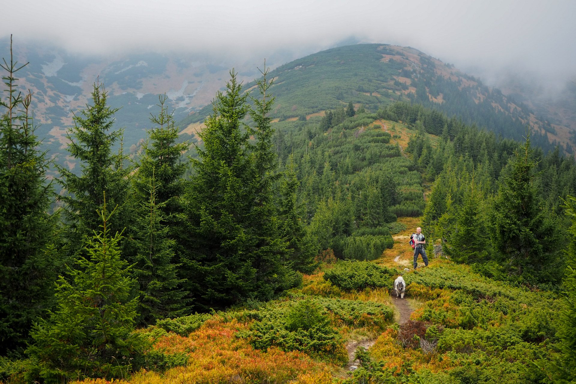 Chabenec z Magurky (Nízke Tatry)