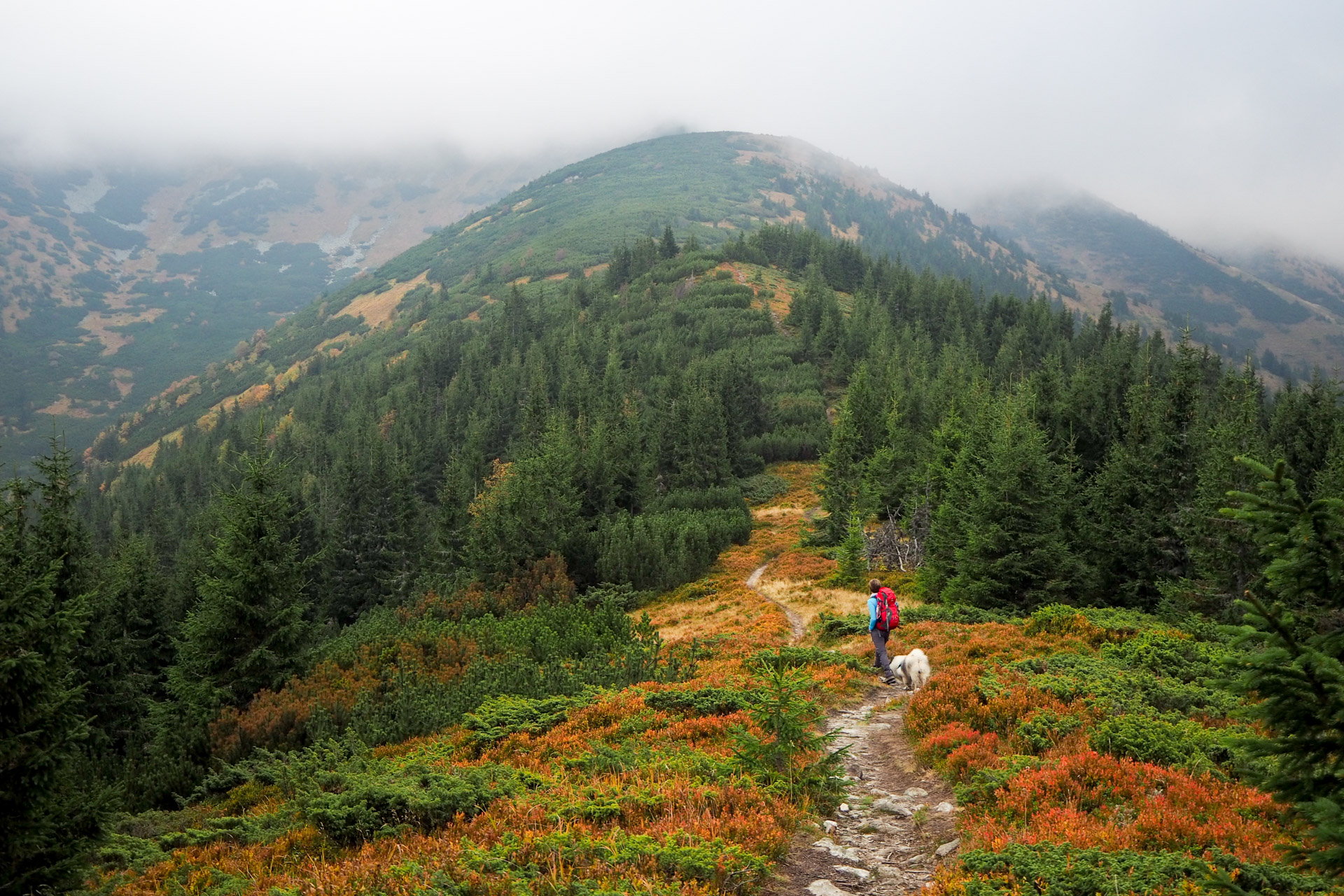 Chabenec z Magurky (Nízke Tatry)