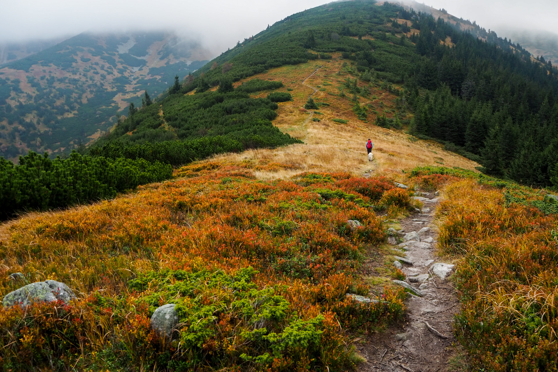 Chabenec z Magurky (Nízke Tatry)