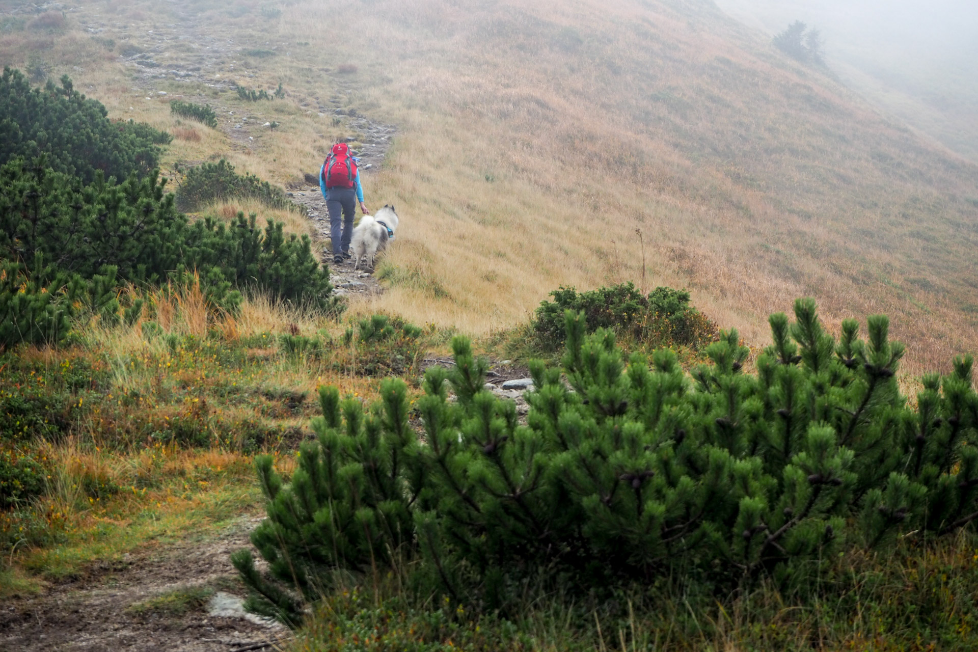 Chabenec z Magurky (Nízke Tatry)