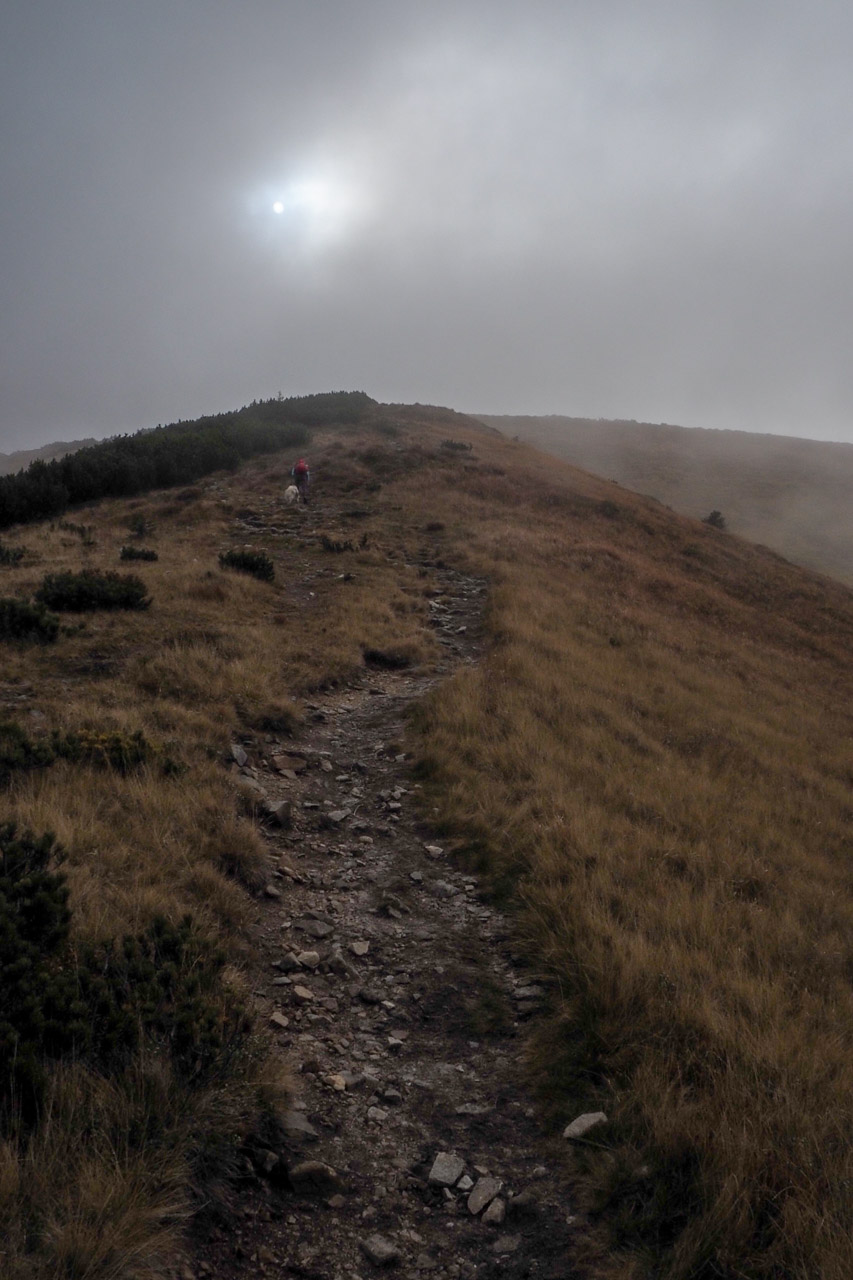 Chabenec z Magurky (Nízke Tatry)