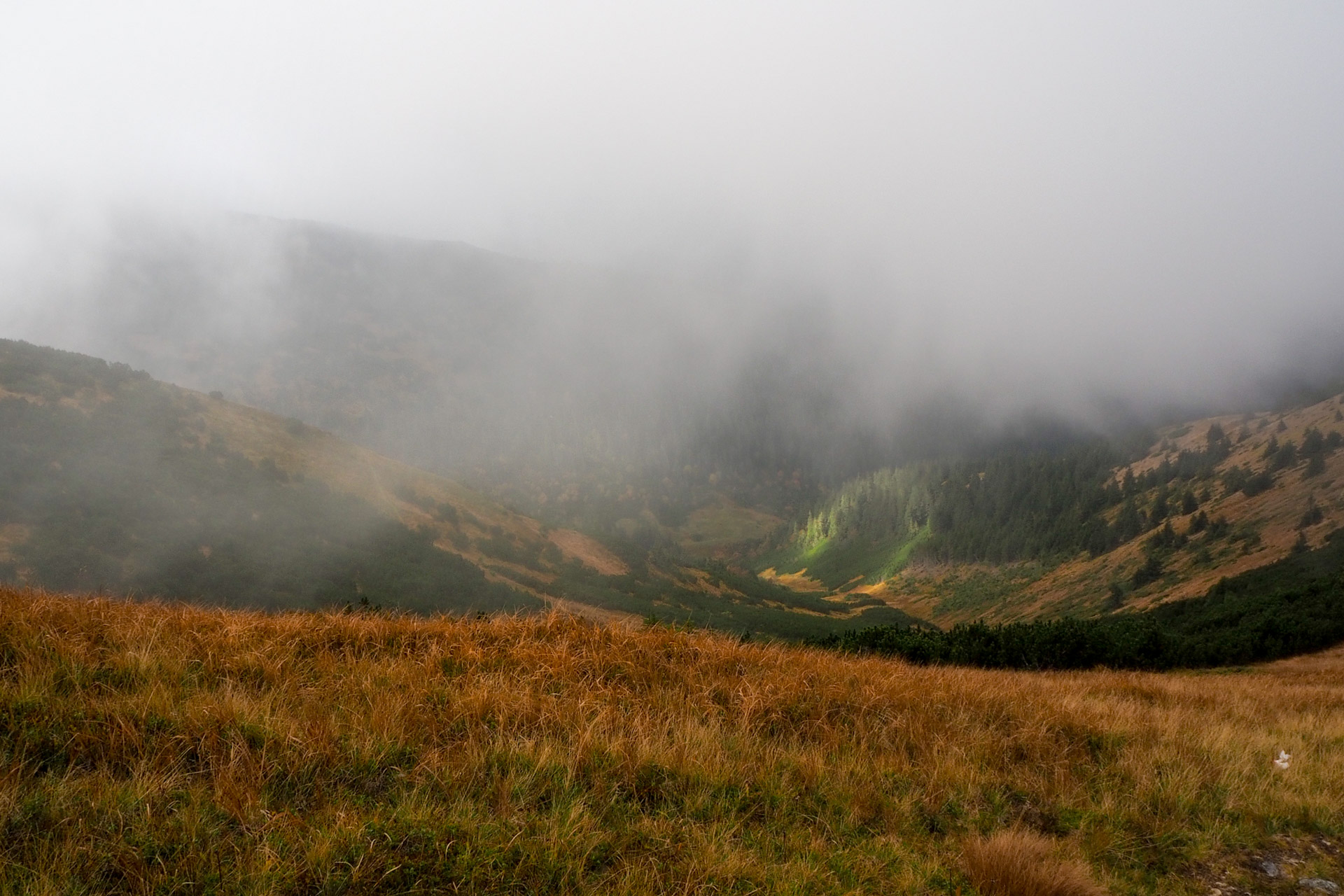 Chabenec z Magurky (Nízke Tatry)