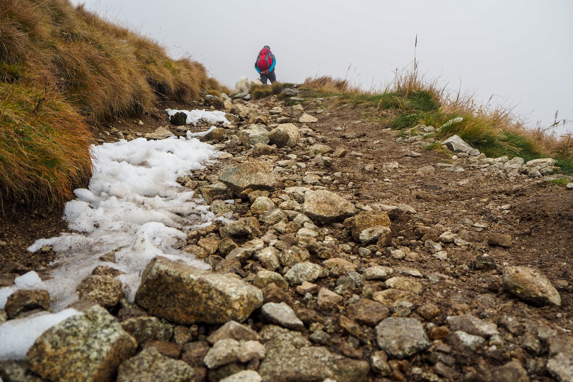 Chabenec z Magurky (Nízke Tatry)