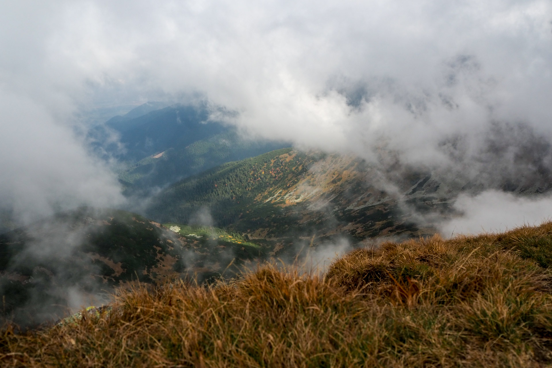 Chabenec z Magurky (Nízke Tatry)