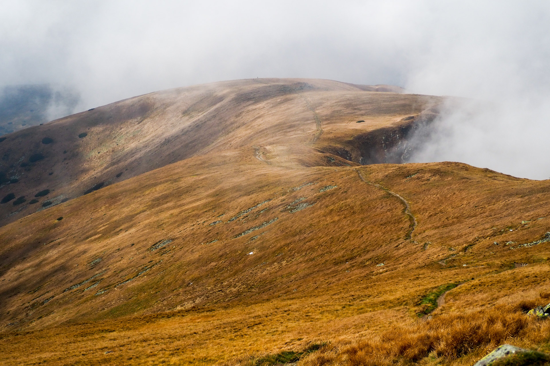 Chabenec z Magurky (Nízke Tatry)