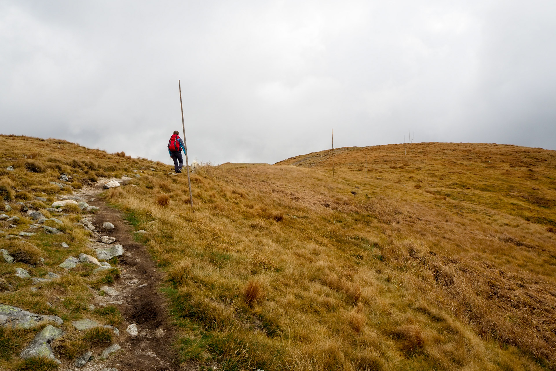 Chabenec z Magurky (Nízke Tatry)