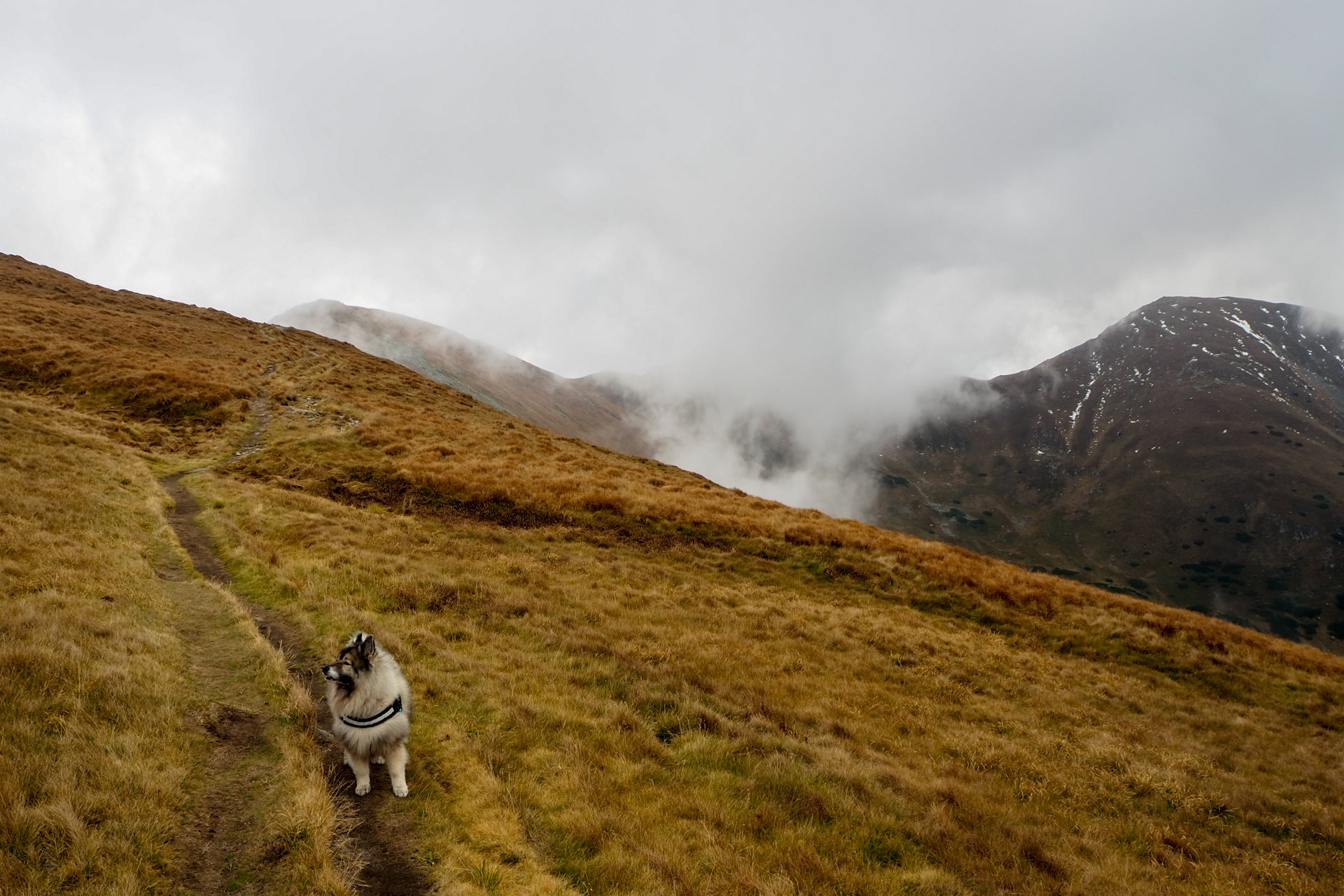 Chabenec z Magurky (Nízke Tatry)