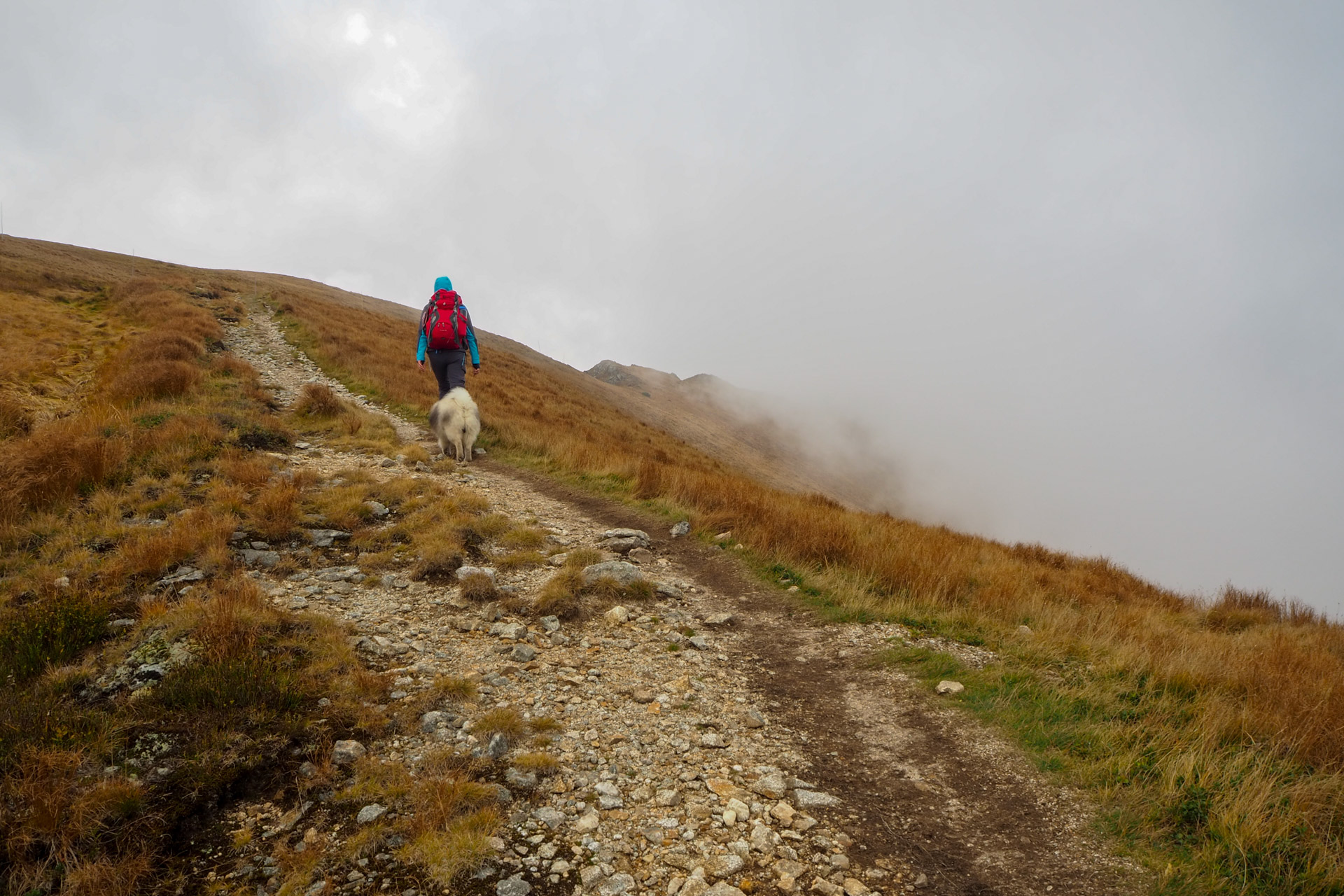 Chabenec z Magurky (Nízke Tatry)