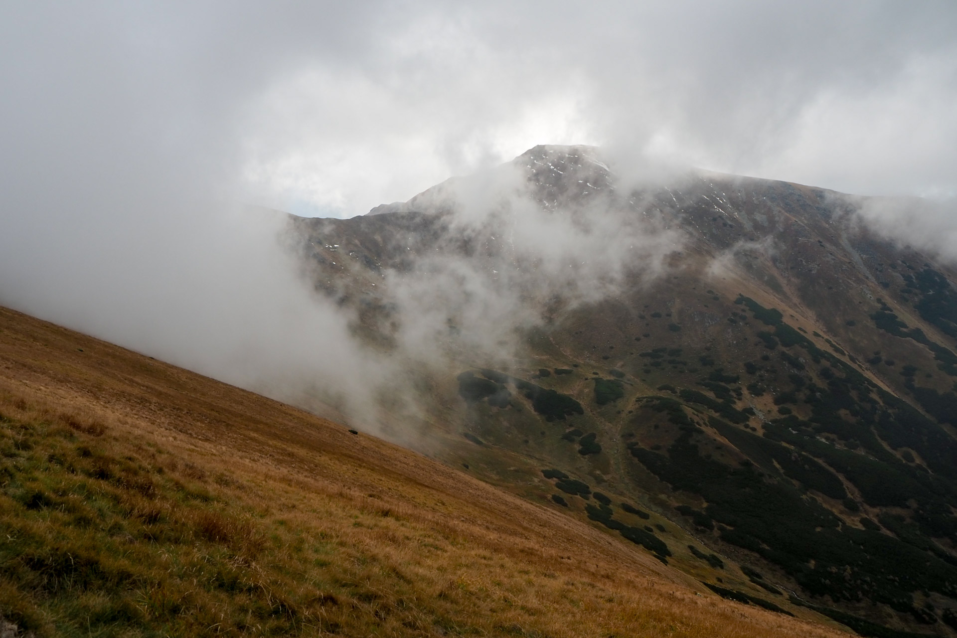 Chabenec z Magurky (Nízke Tatry)