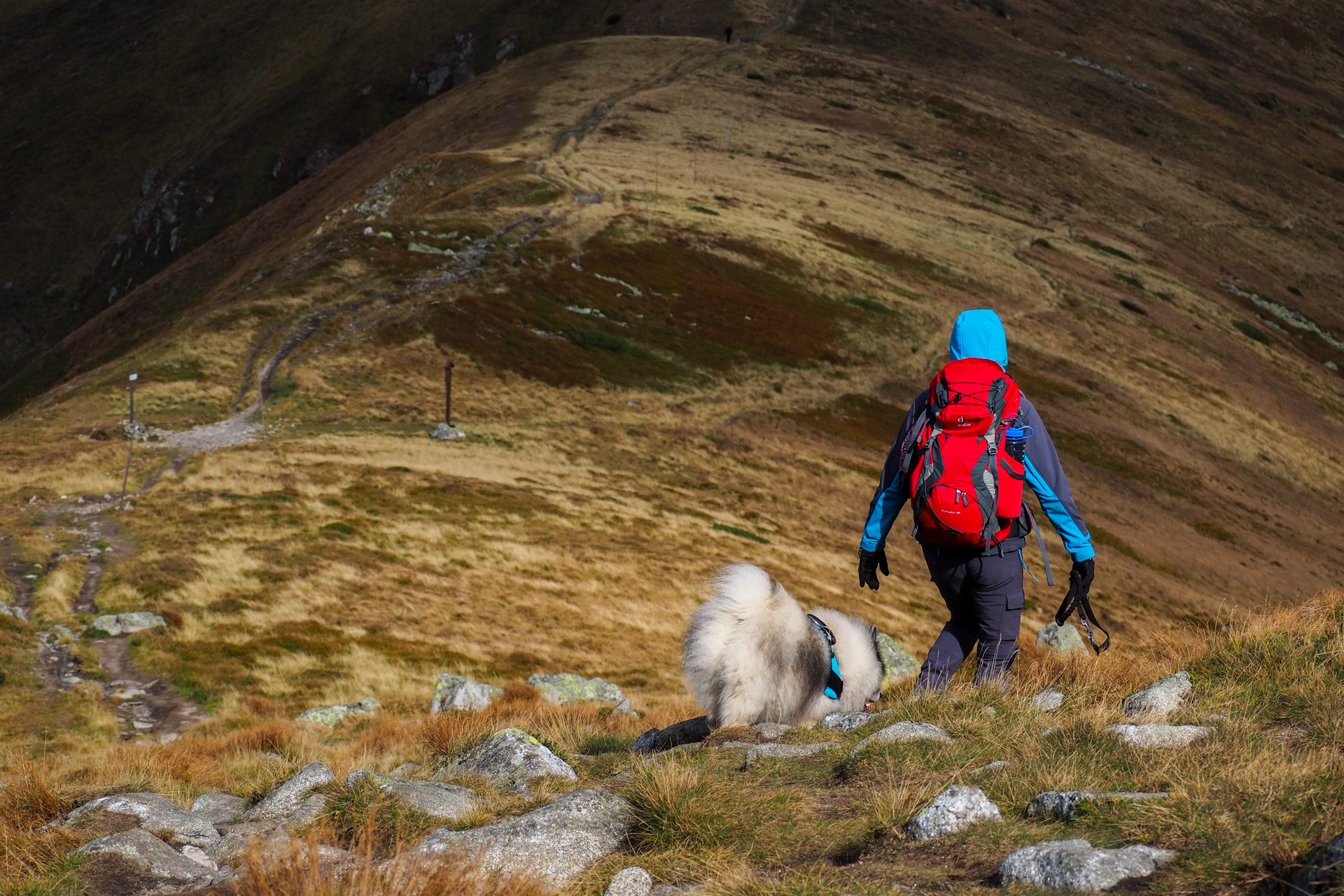 Chabenec z Magurky (Nízke Tatry)