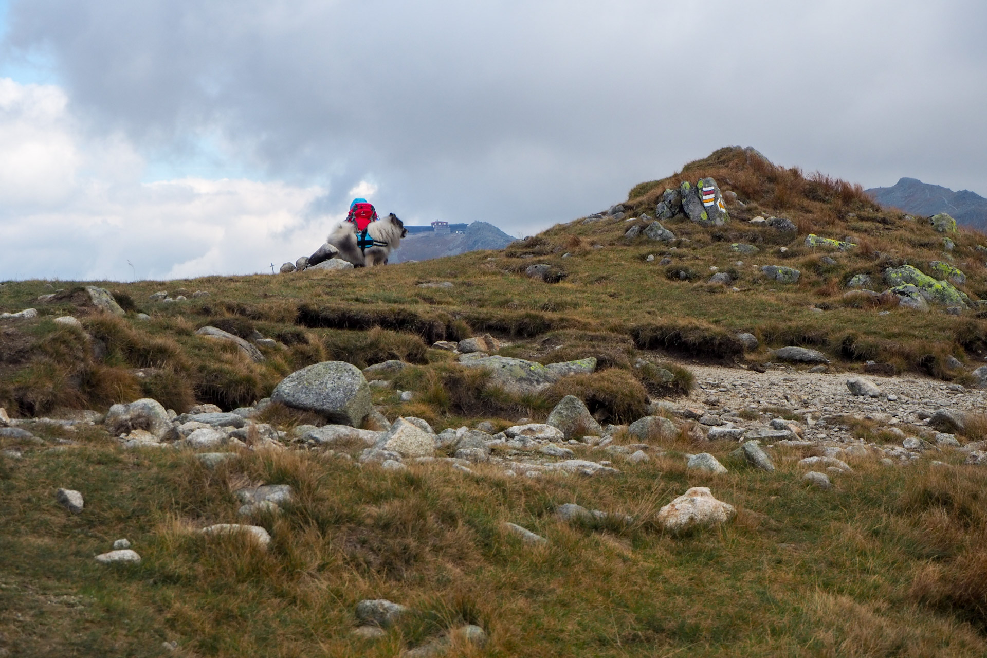 Chabenec z Magurky (Nízke Tatry)