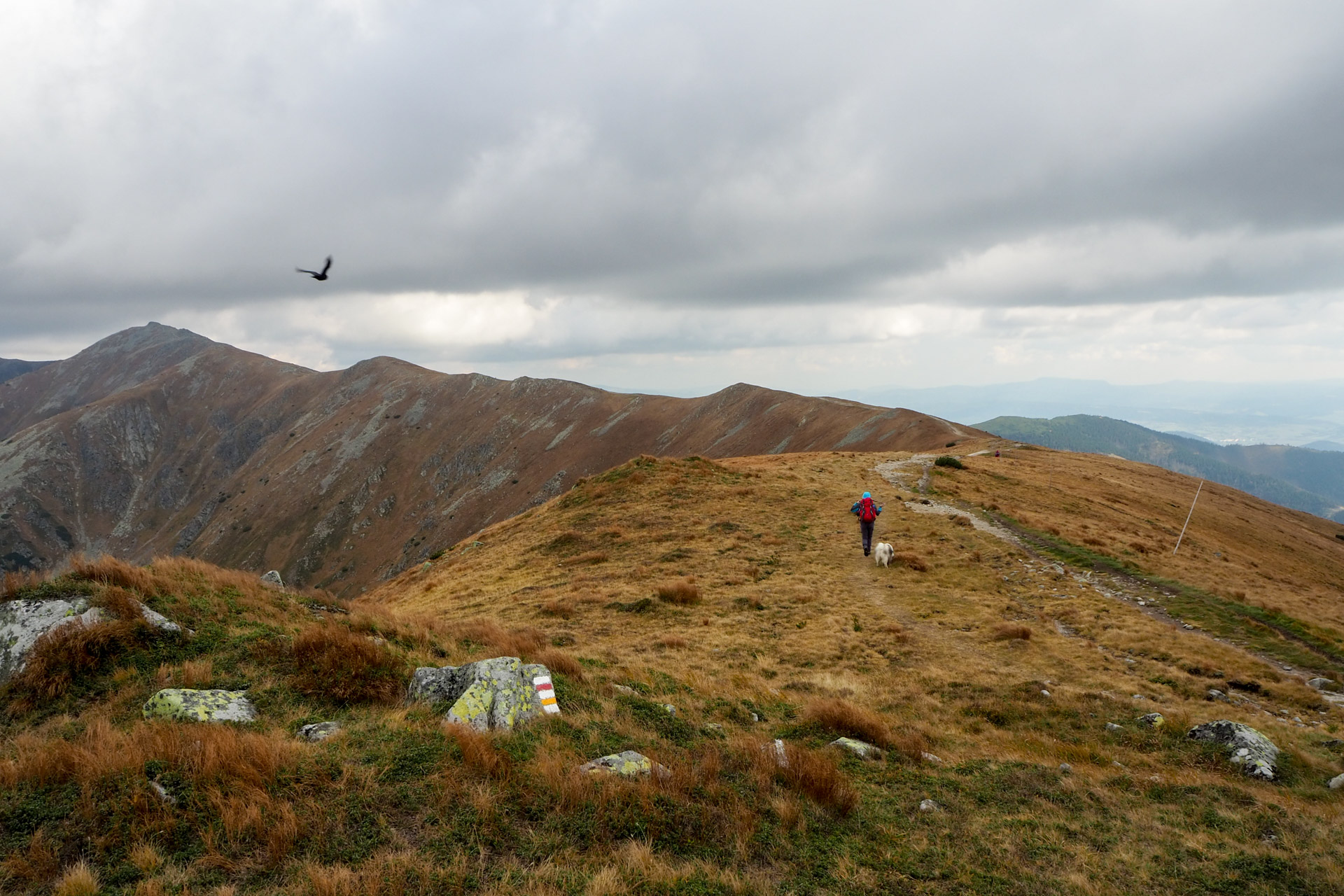 Chabenec z Magurky (Nízke Tatry)