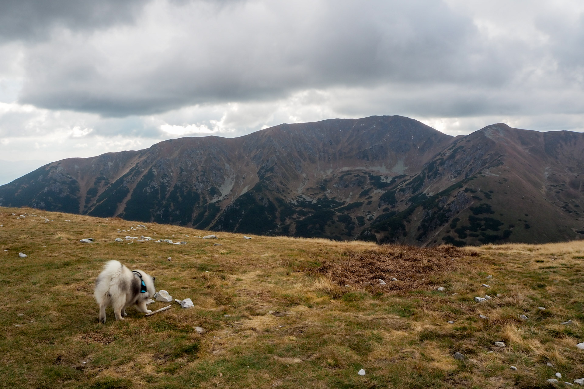 Chabenec z Magurky (Nízke Tatry)