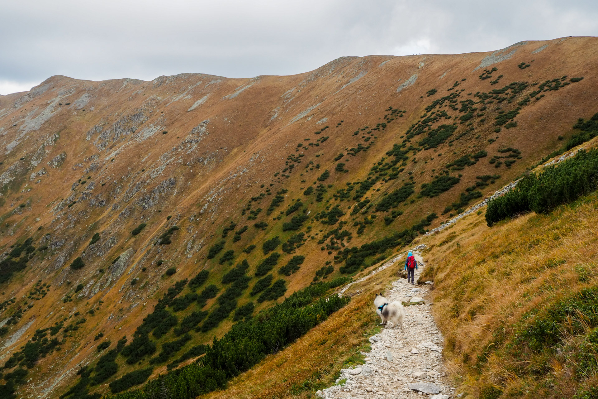 Chabenec z Magurky (Nízke Tatry)