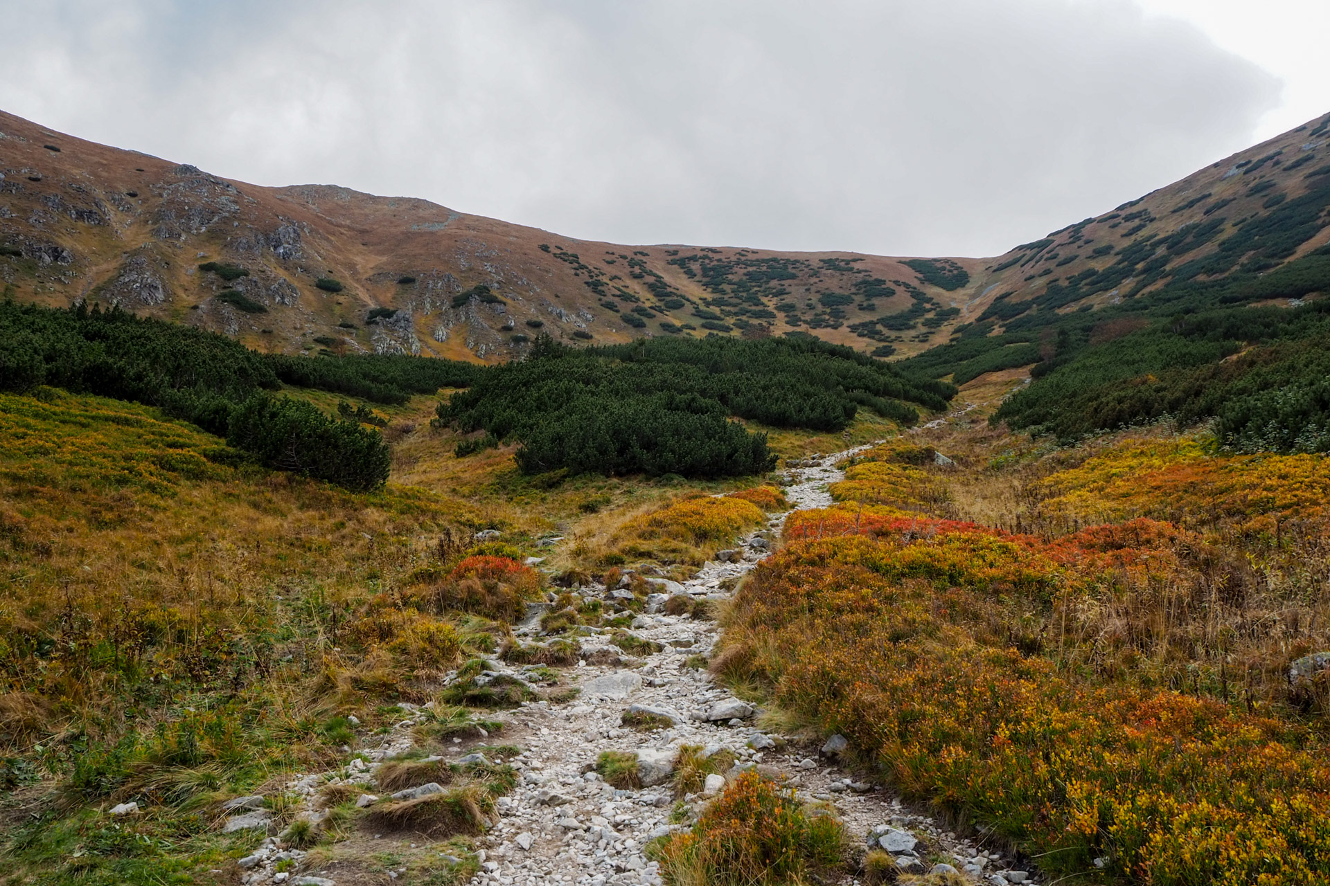 Chabenec z Magurky (Nízke Tatry)