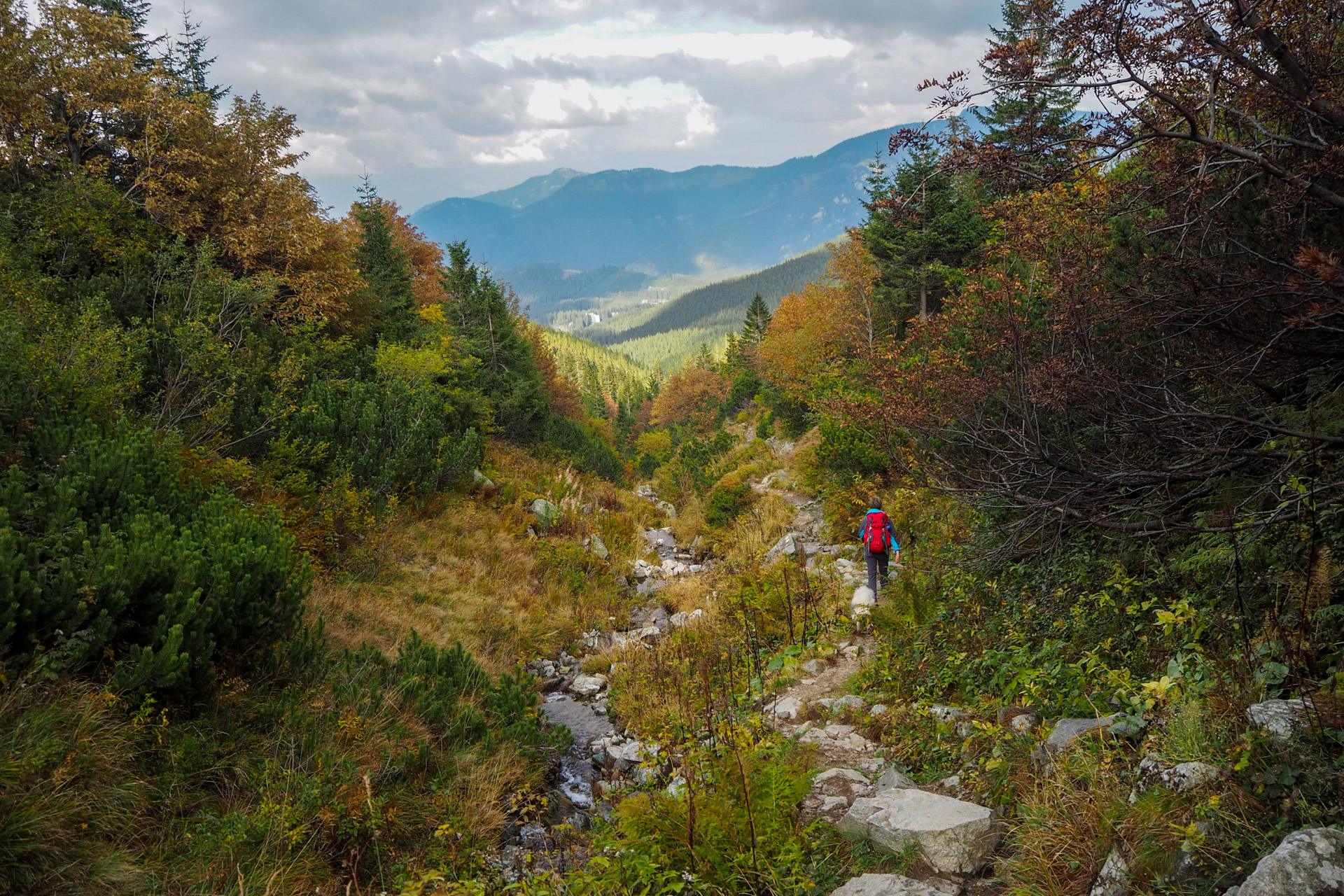 Chabenec z Magurky (Nízke Tatry)