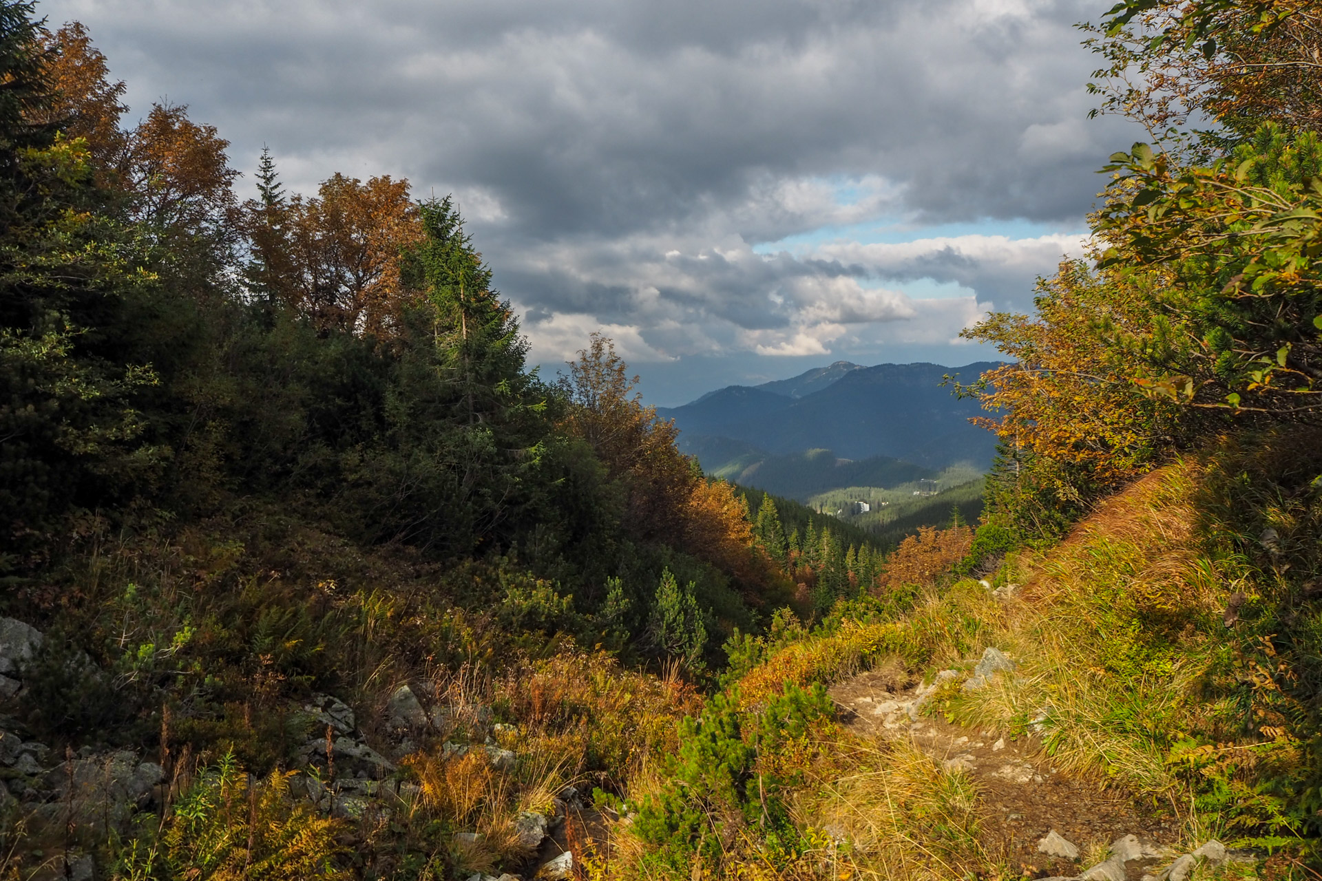 Chabenec z Magurky (Nízke Tatry)