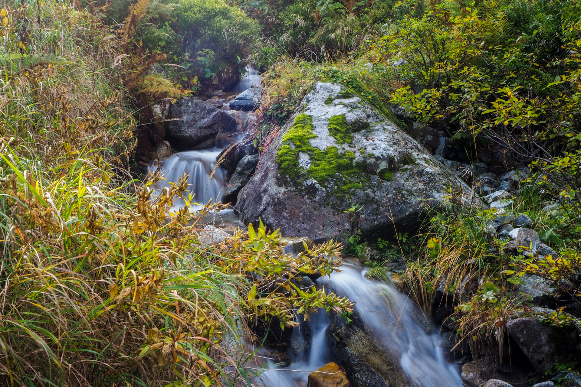 Chabenec z Magurky (Nízke Tatry)