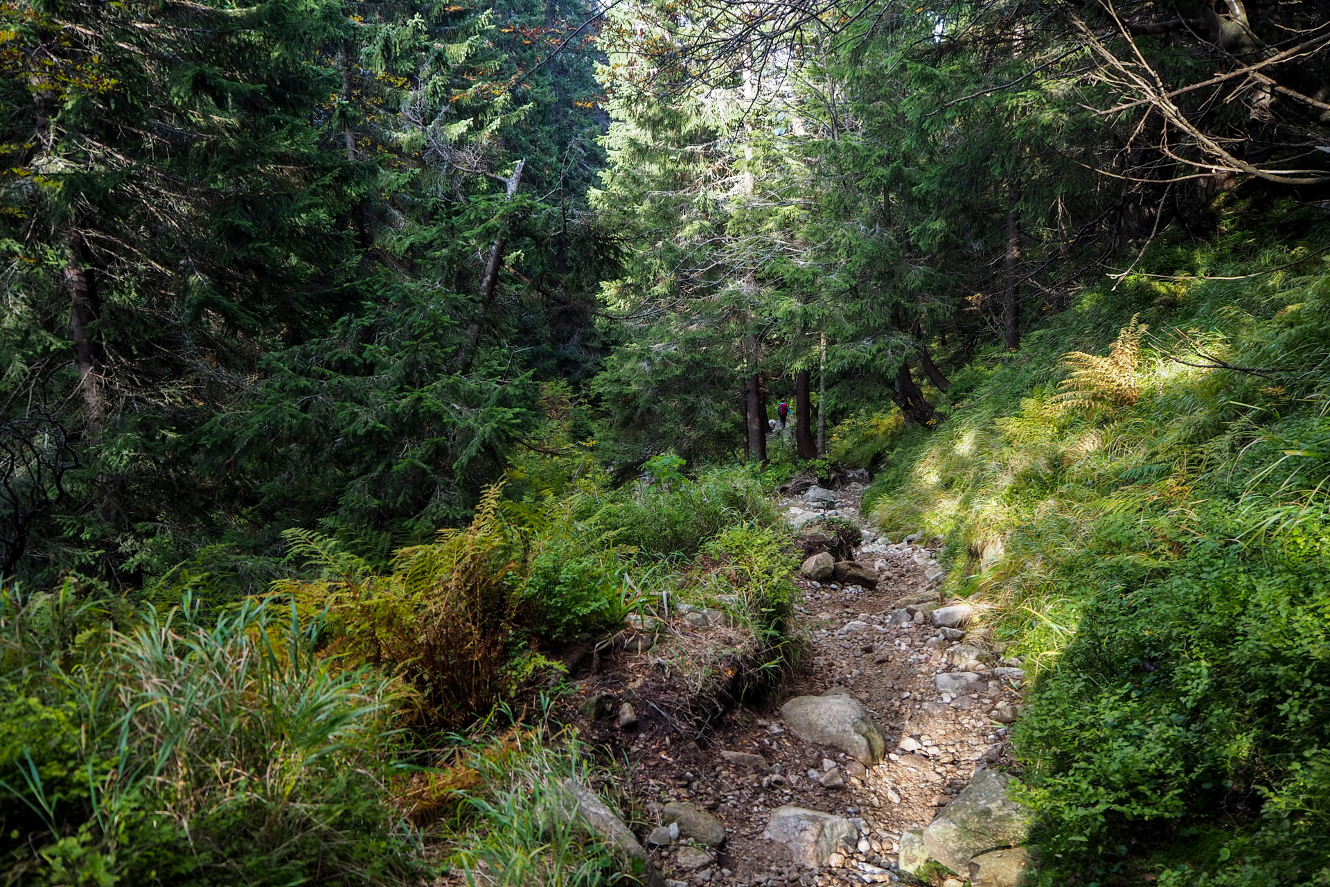 Chabenec z Magurky (Nízke Tatry)