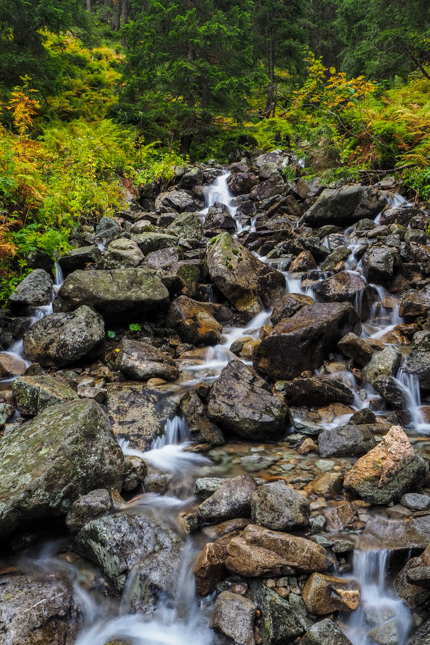 Chabenec z Magurky (Nízke Tatry)