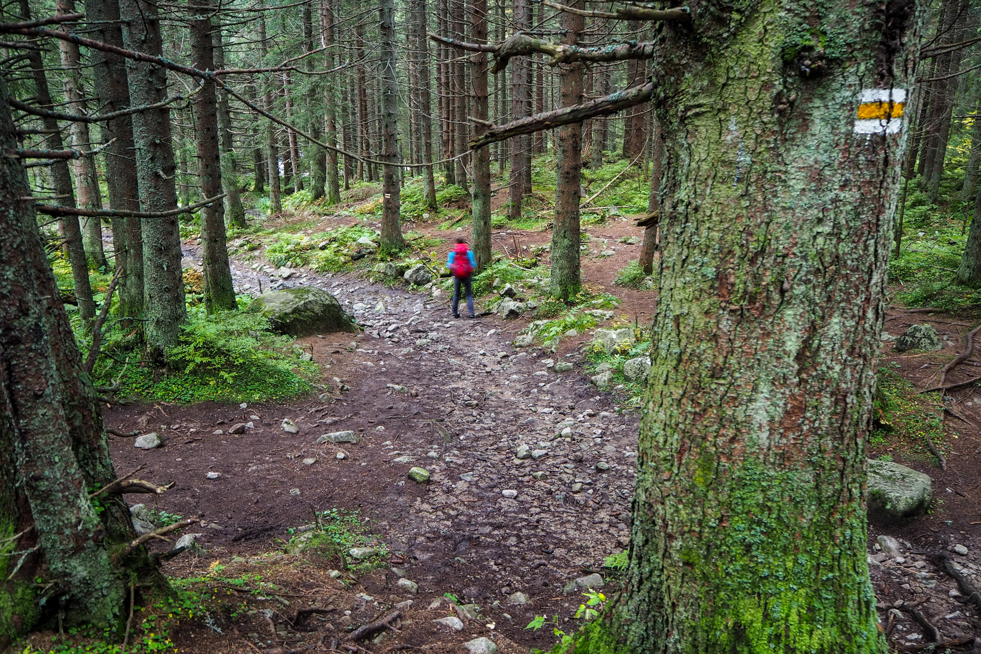 Chabenec z Magurky (Nízke Tatry)