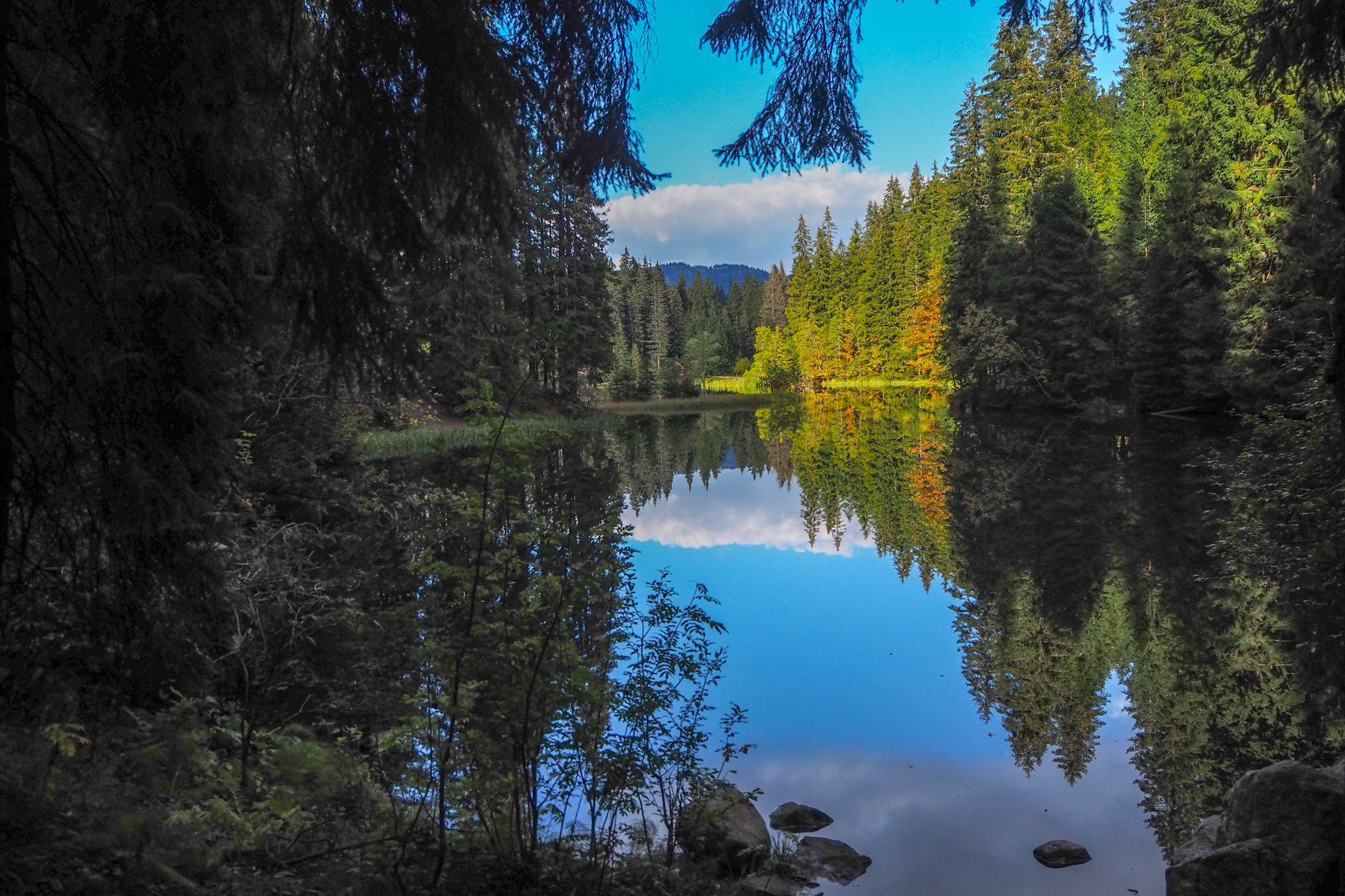 Chabenec z Magurky (Nízke Tatry)