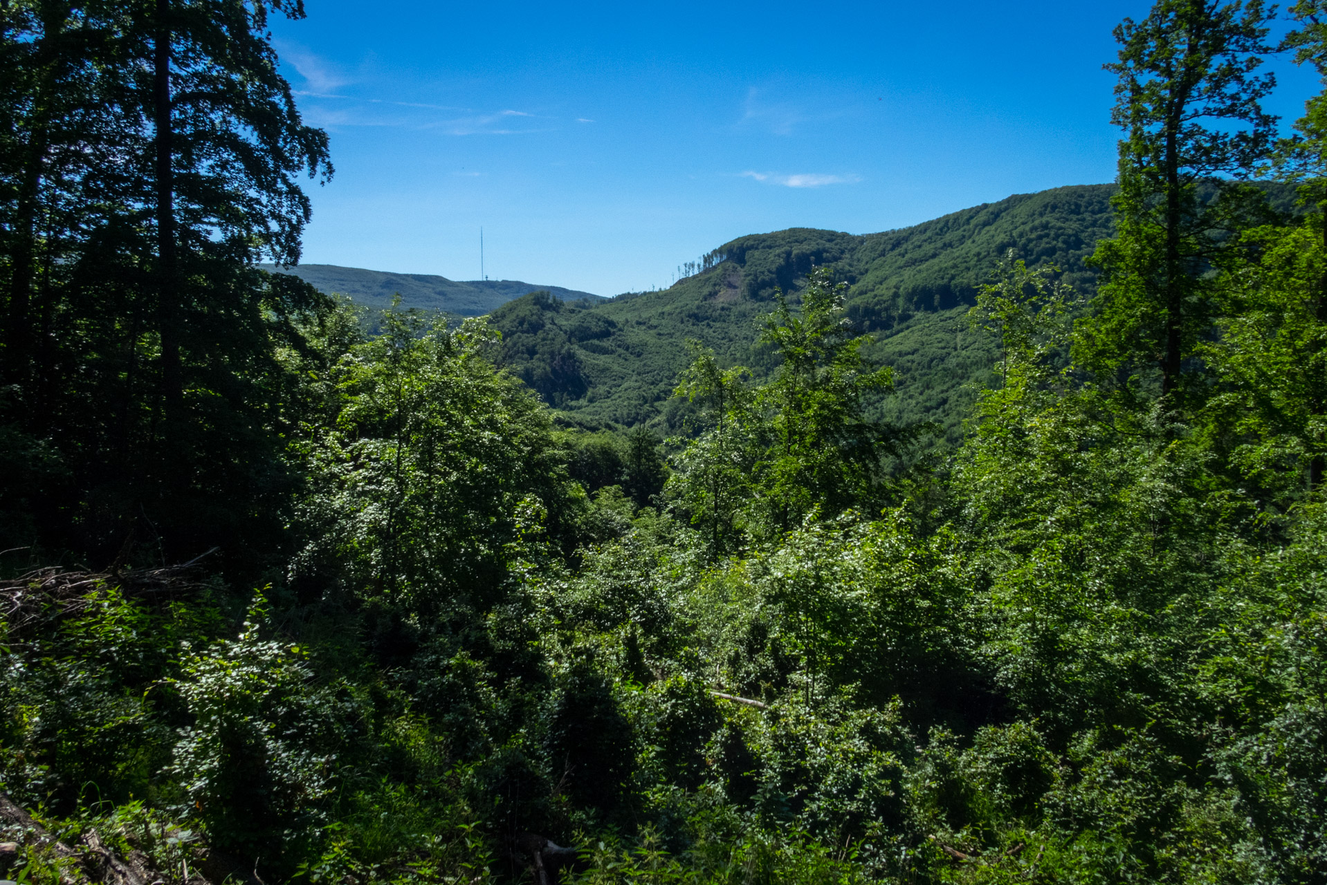 Čierna hora zo Sigordu (Slanské vrchy)