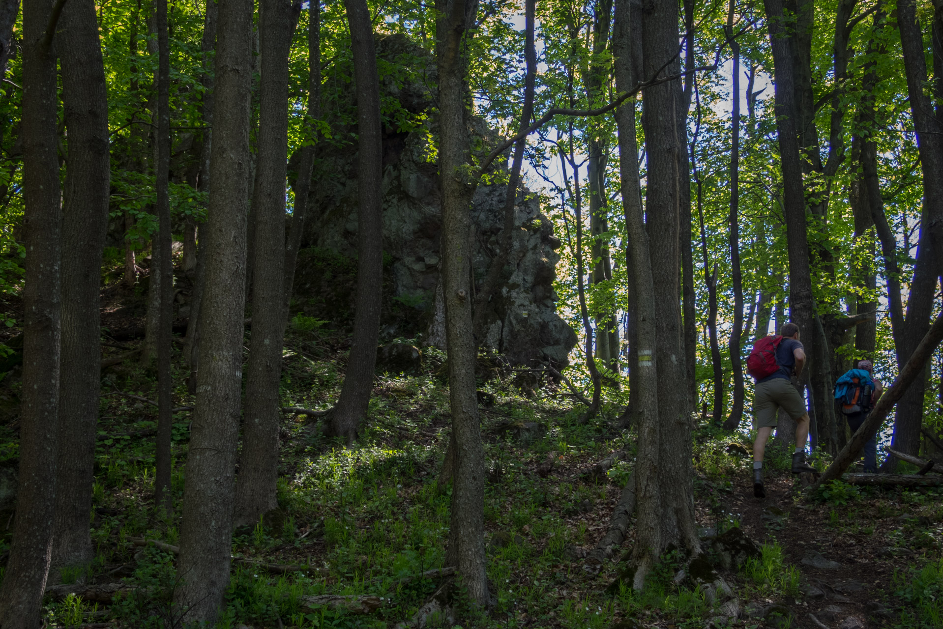 Čierna hora zo Sigordu (Slanské vrchy)