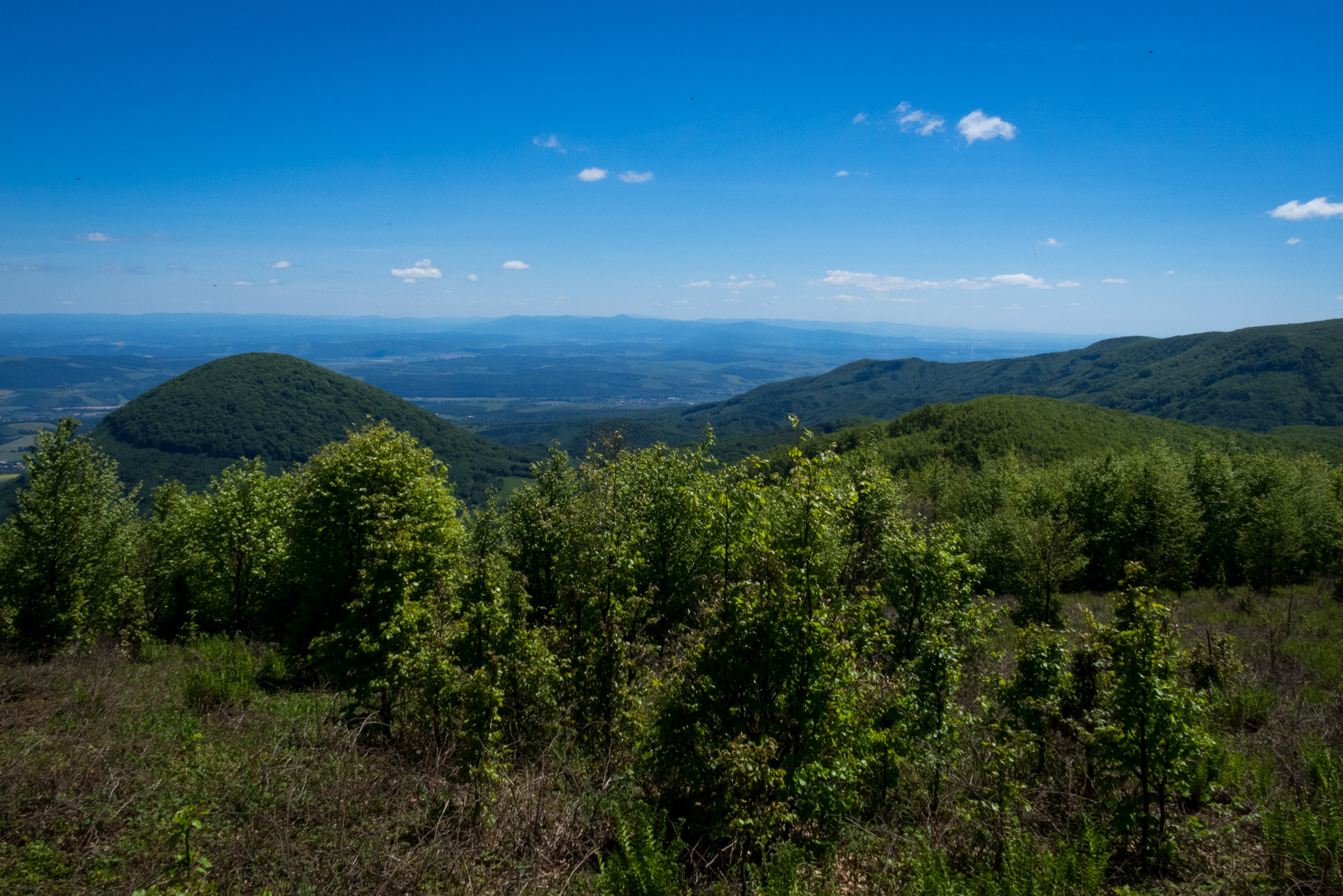 Čierna hora zo Sigordu (Slanské vrchy)