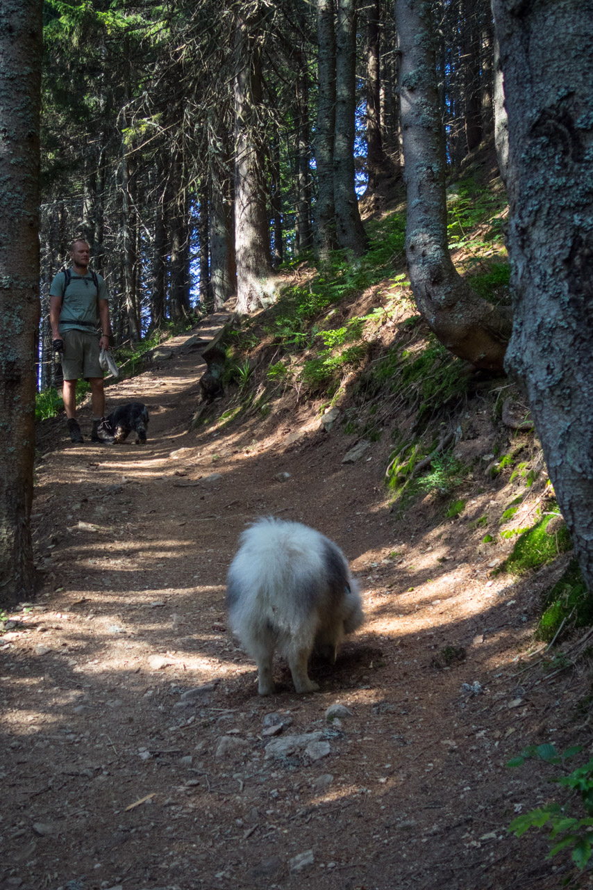 Ďumbier z Trangošky (Nízke Tatry)