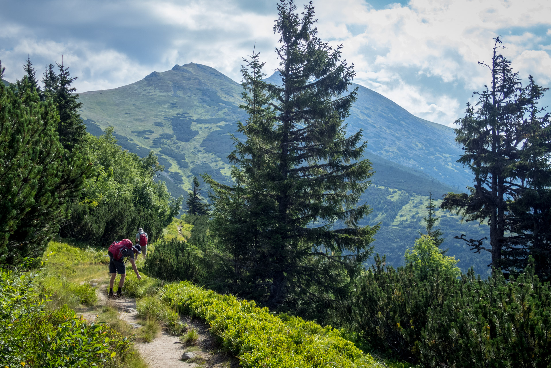 Ďumbier z Trangošky (Nízke Tatry)