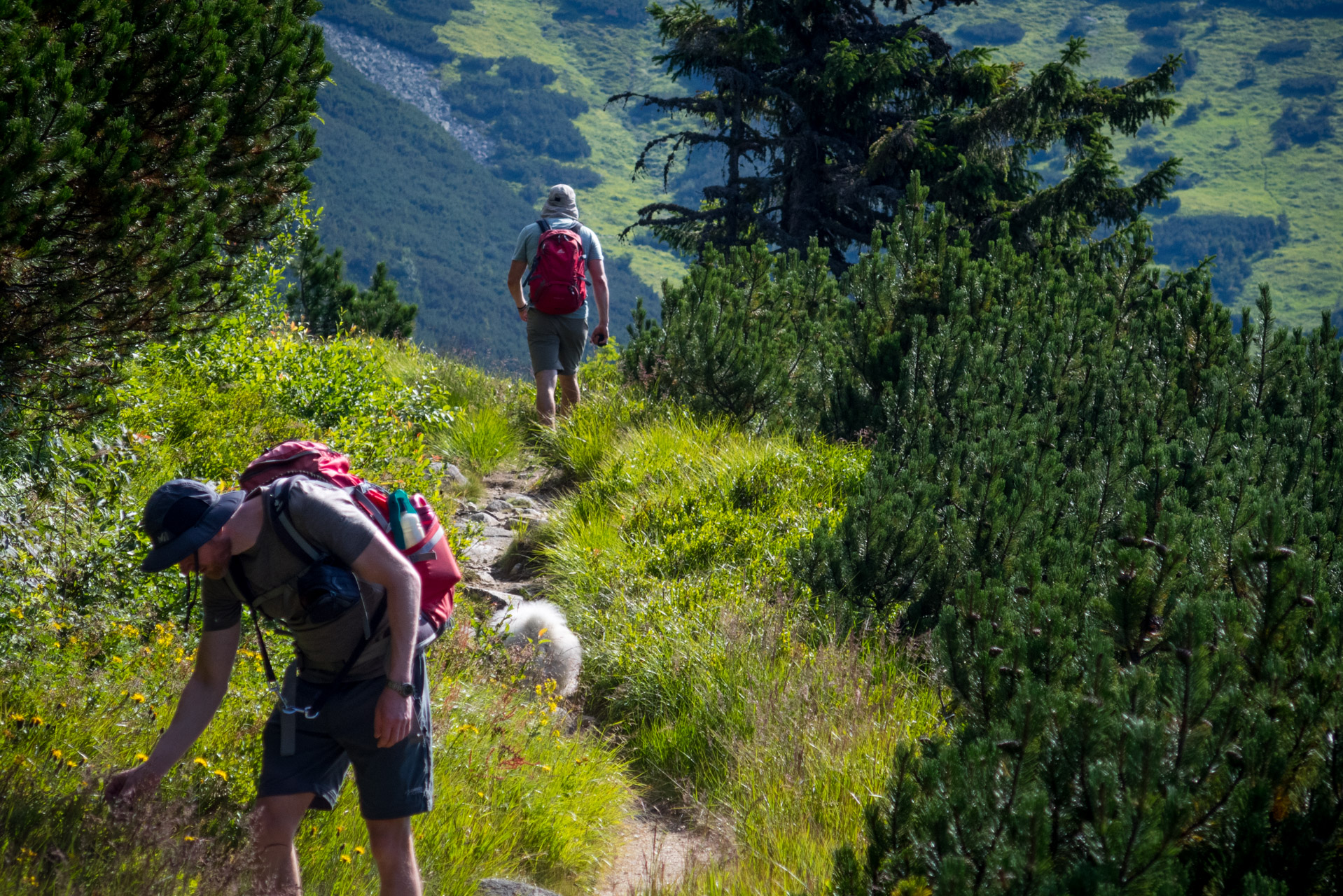 Ďumbier z Trangošky (Nízke Tatry)