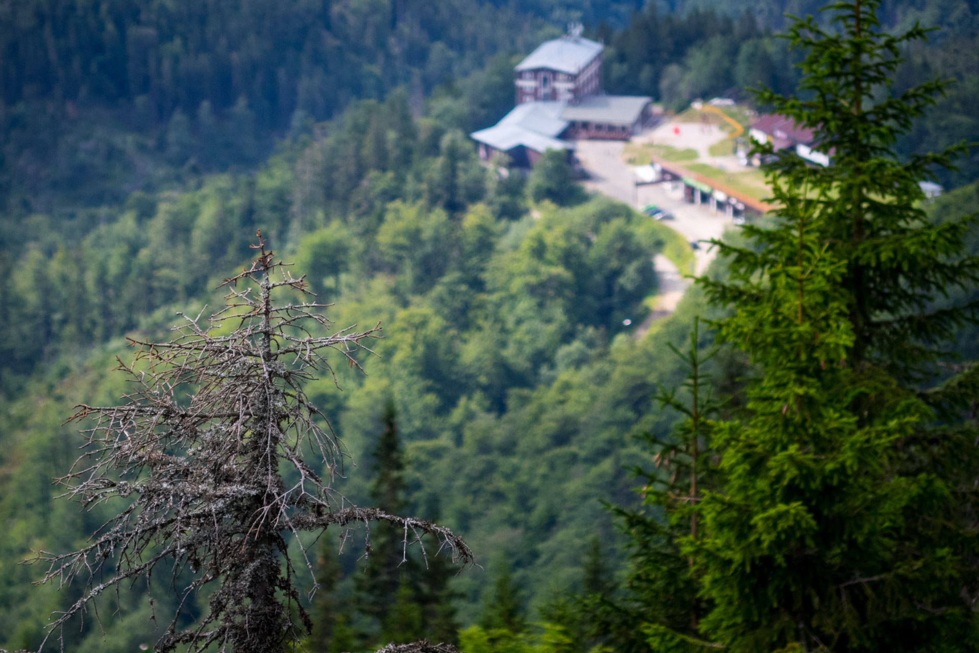 Ďumbier z Trangošky (Nízke Tatry)