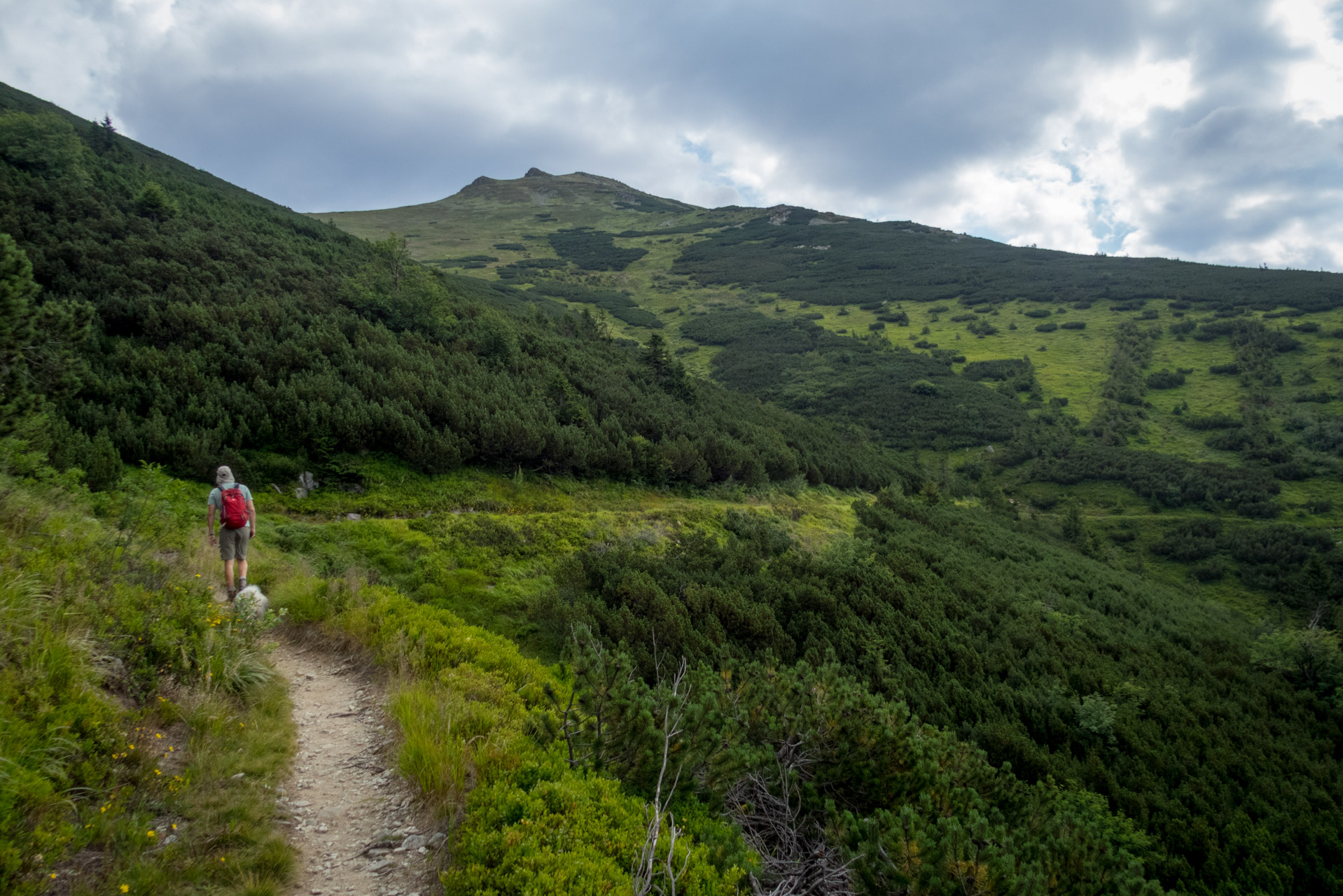 Ďumbier z Trangošky (Nízke Tatry)