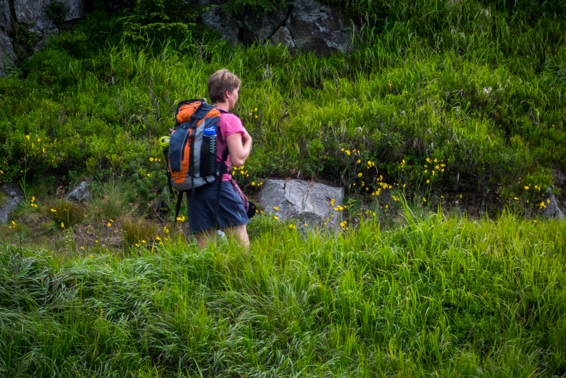 Ďumbier z Trangošky (Nízke Tatry)