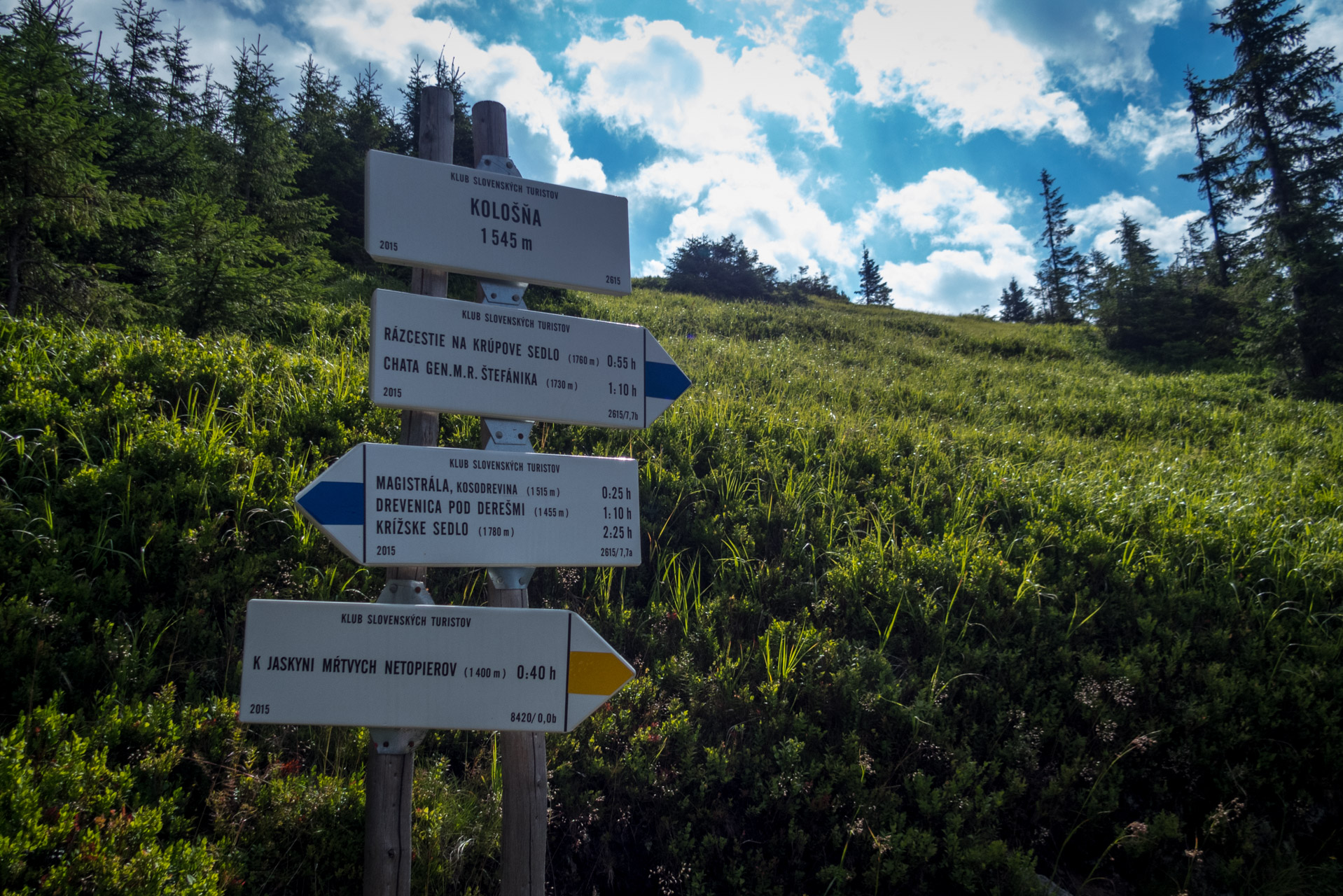 Ďumbier z Trangošky (Nízke Tatry)