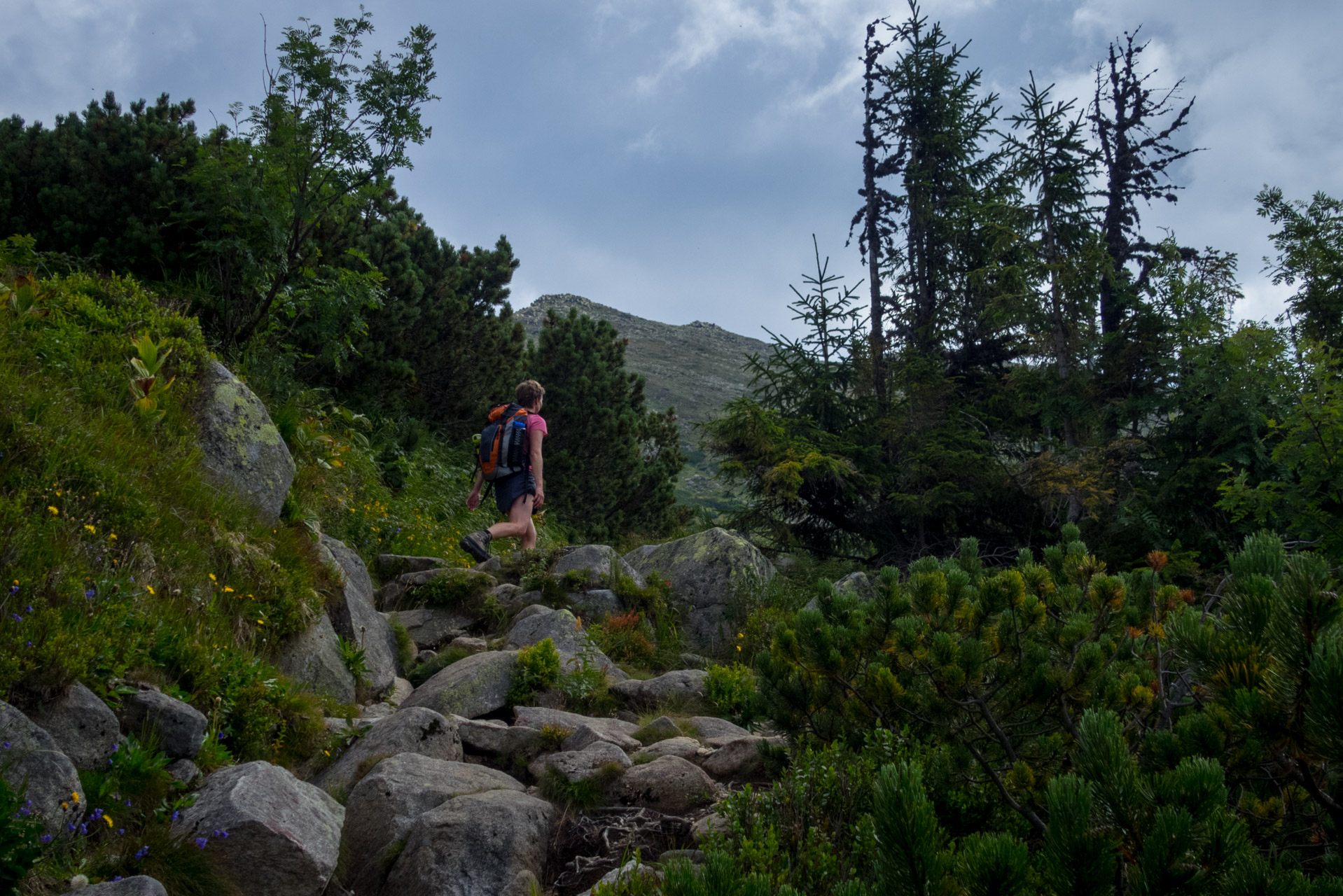 Ďumbier z Trangošky (Nízke Tatry)