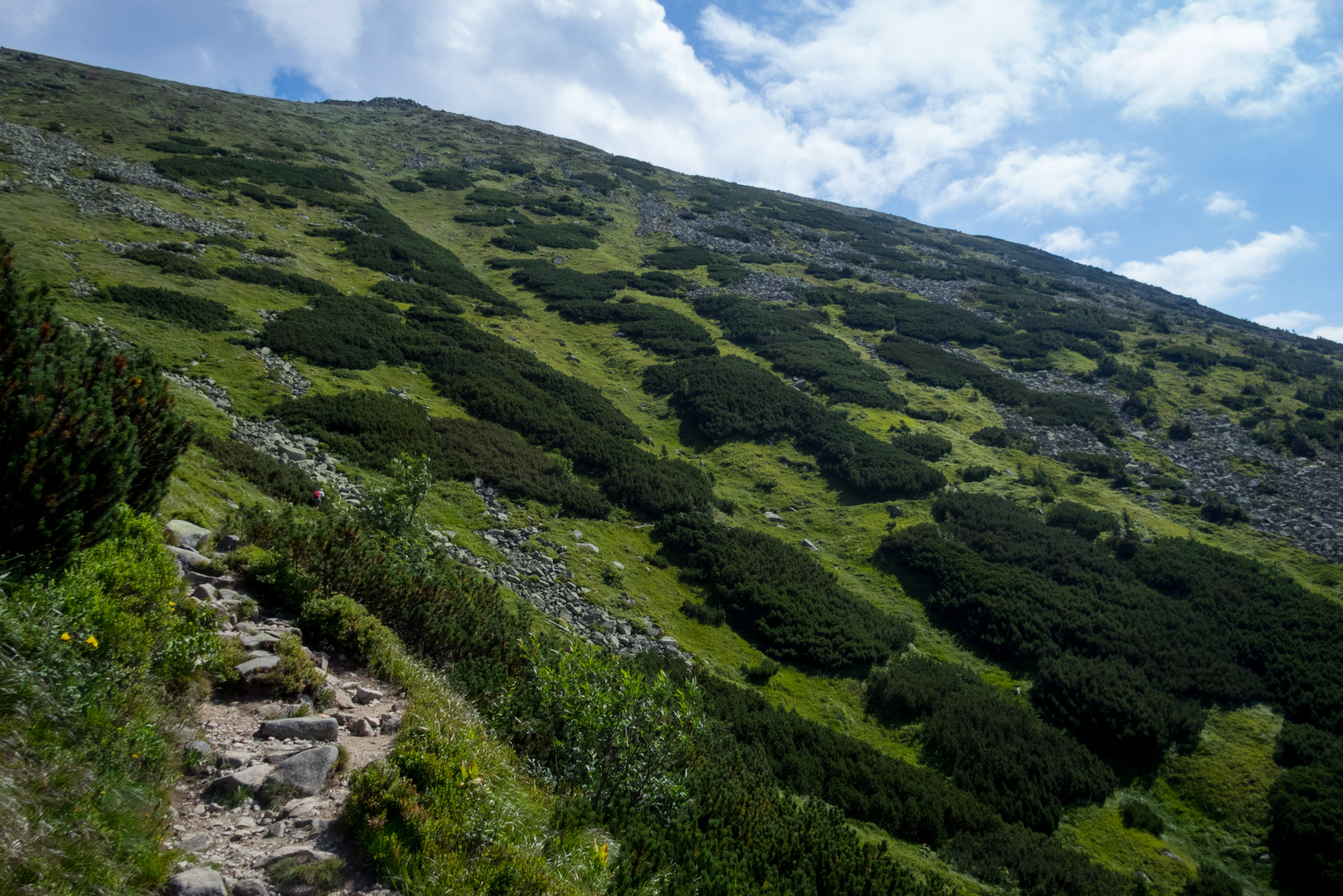 Ďumbier z Trangošky (Nízke Tatry)