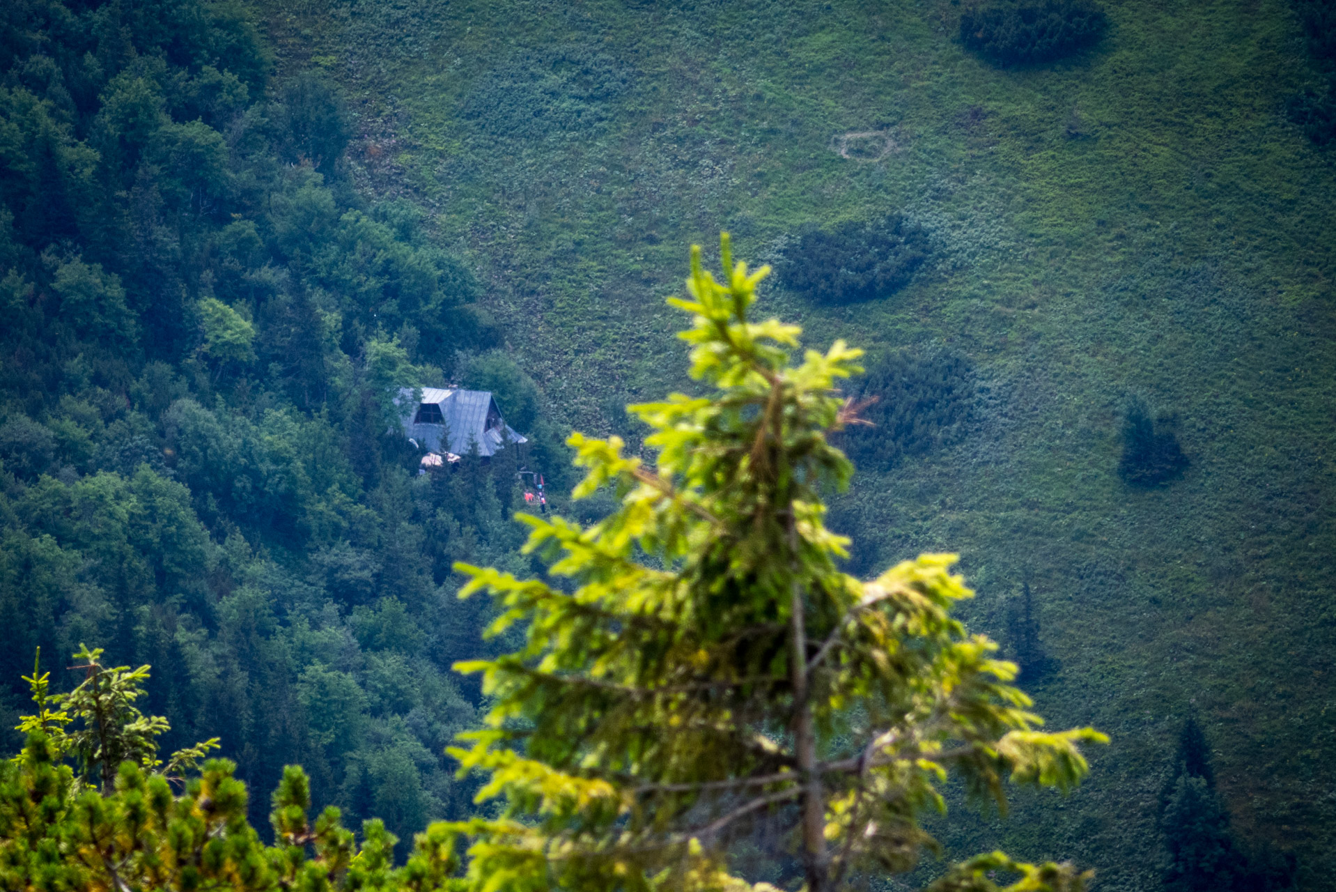 Ďumbier z Trangošky (Nízke Tatry)