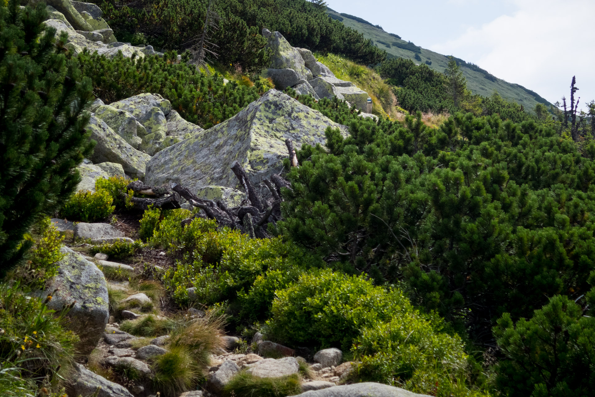 Ďumbier z Trangošky (Nízke Tatry)